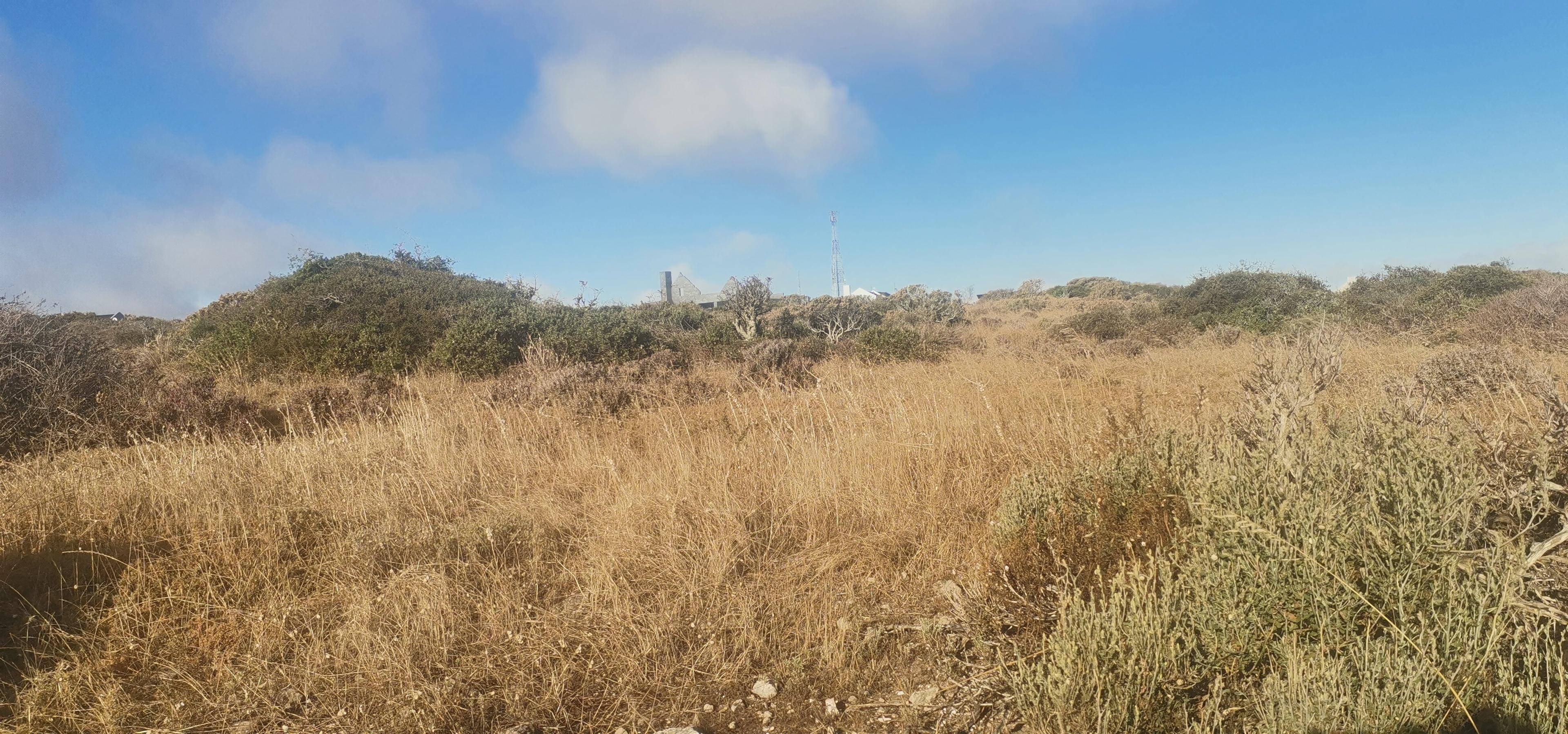 Image 4 of 6