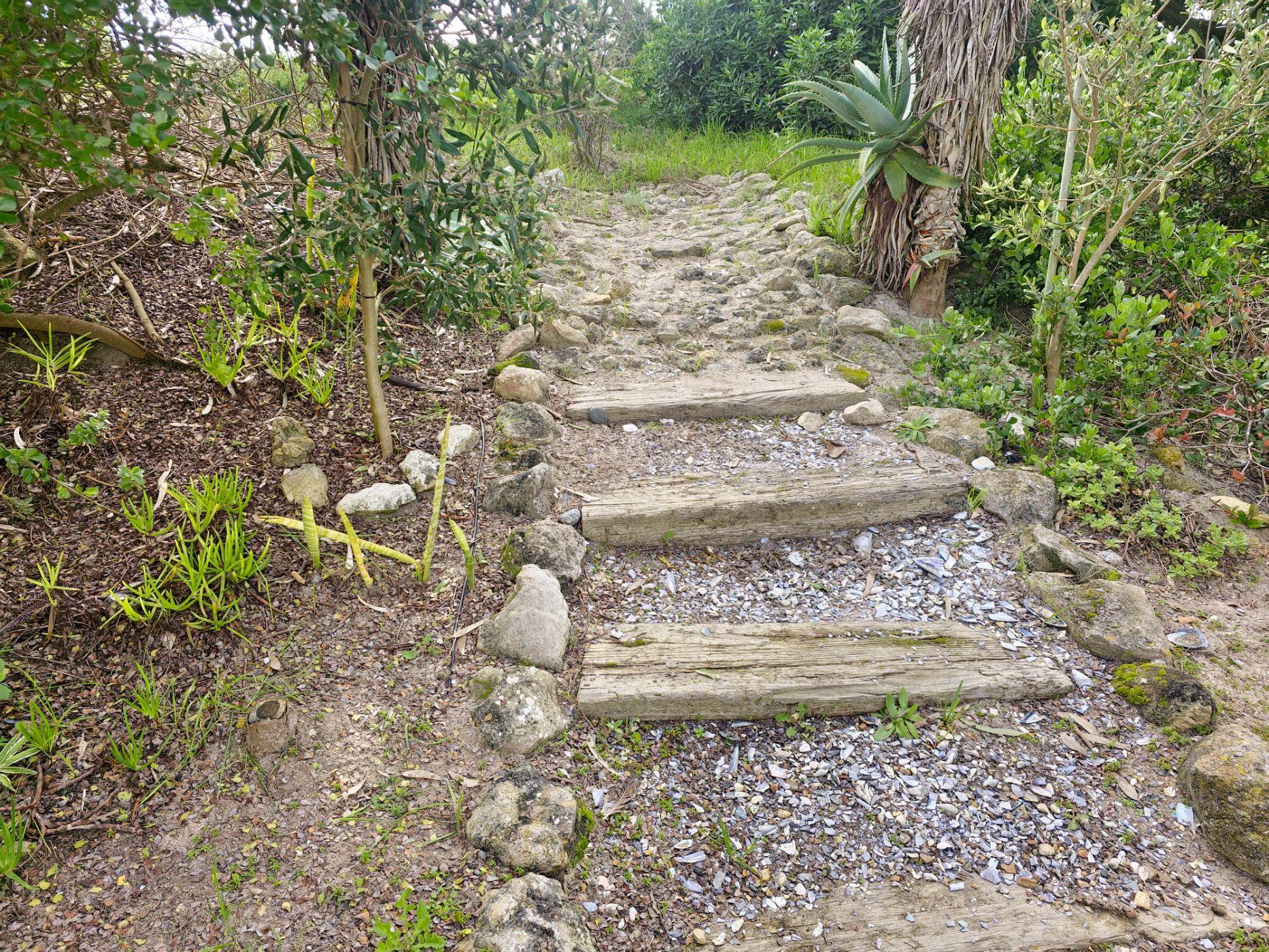 Image 29