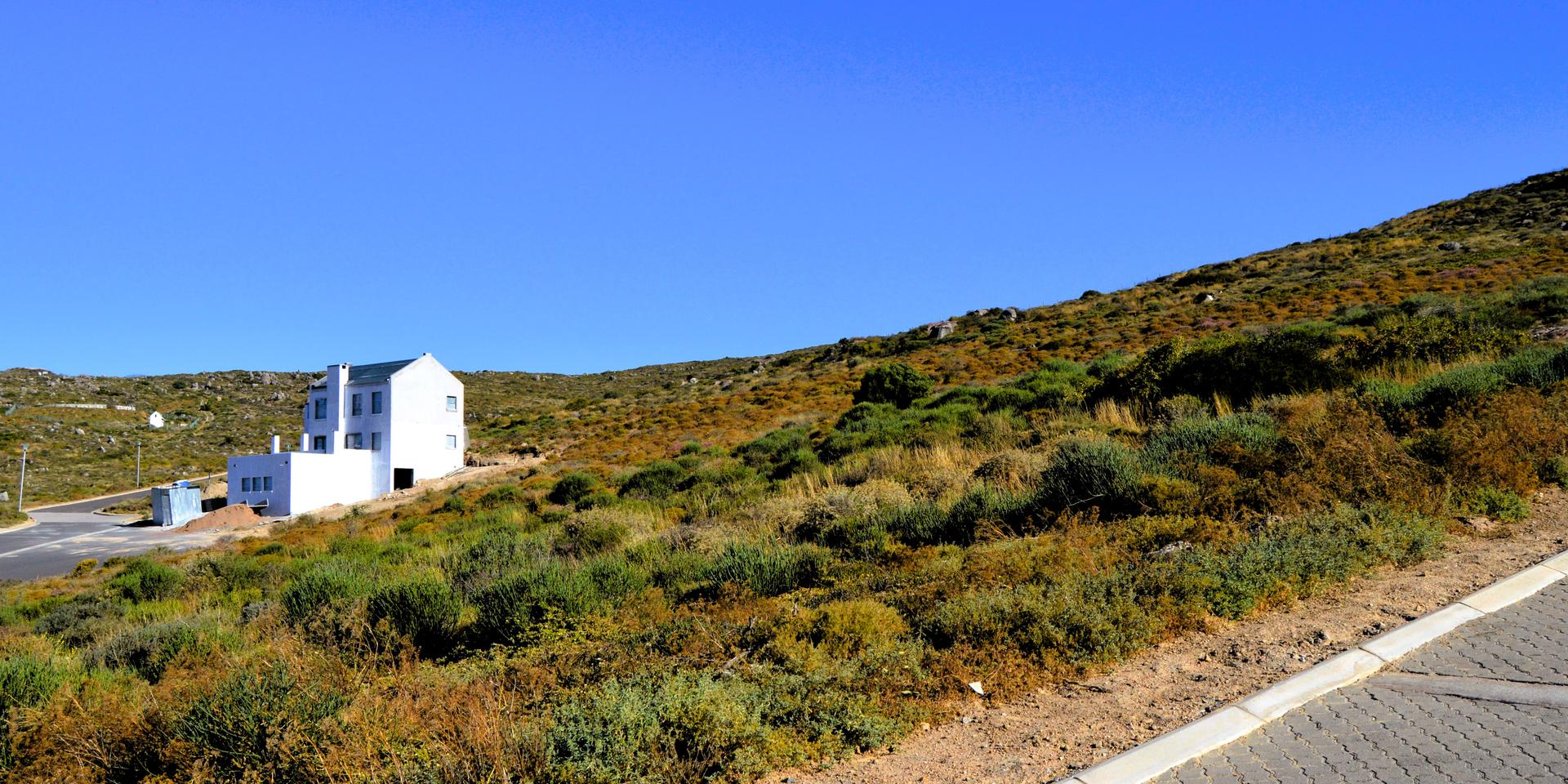 Image 4 of 6