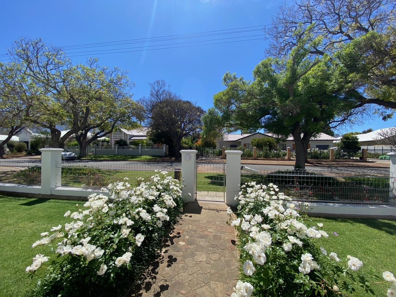 Image 5 of 6