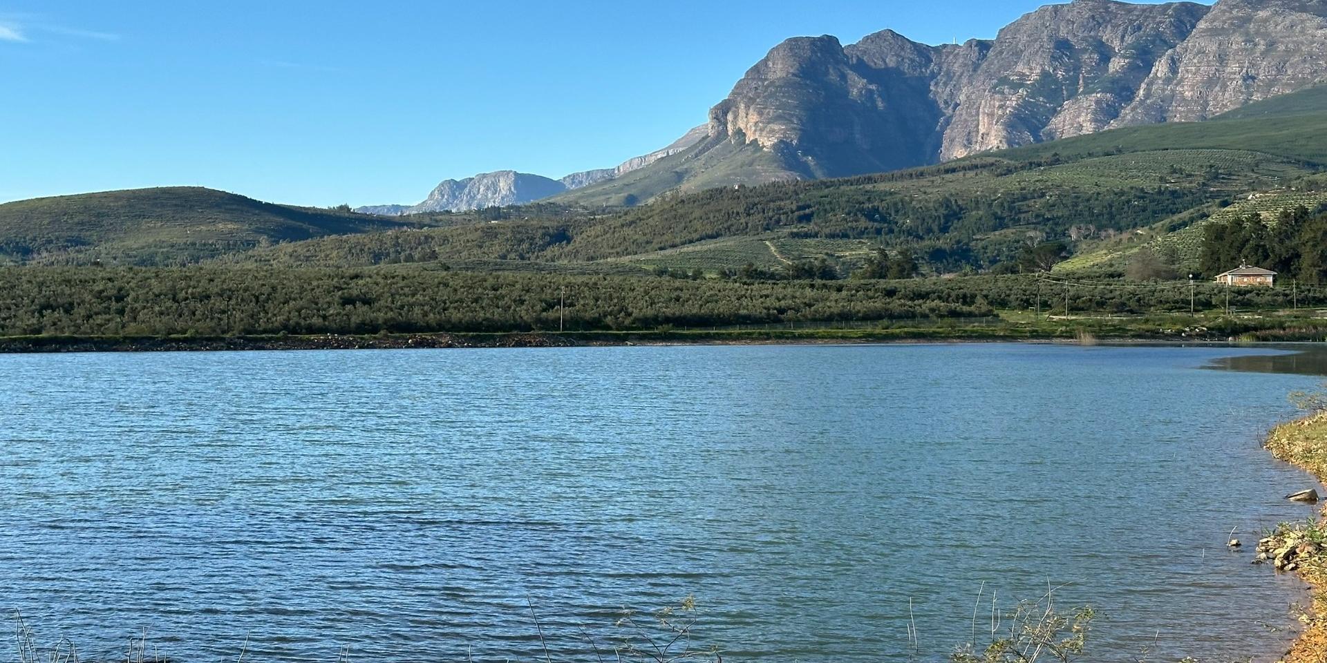 Image 5 of 6