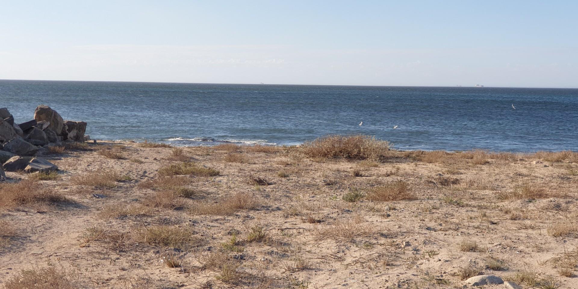 Image 5 of 6