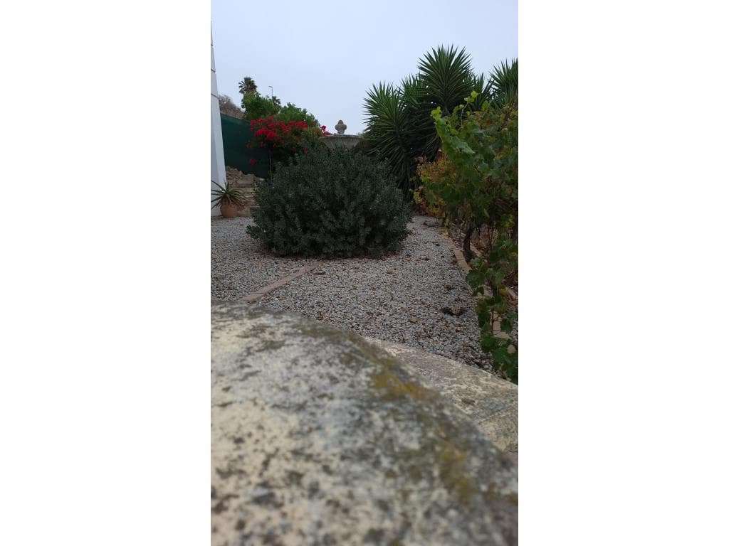 Image 31