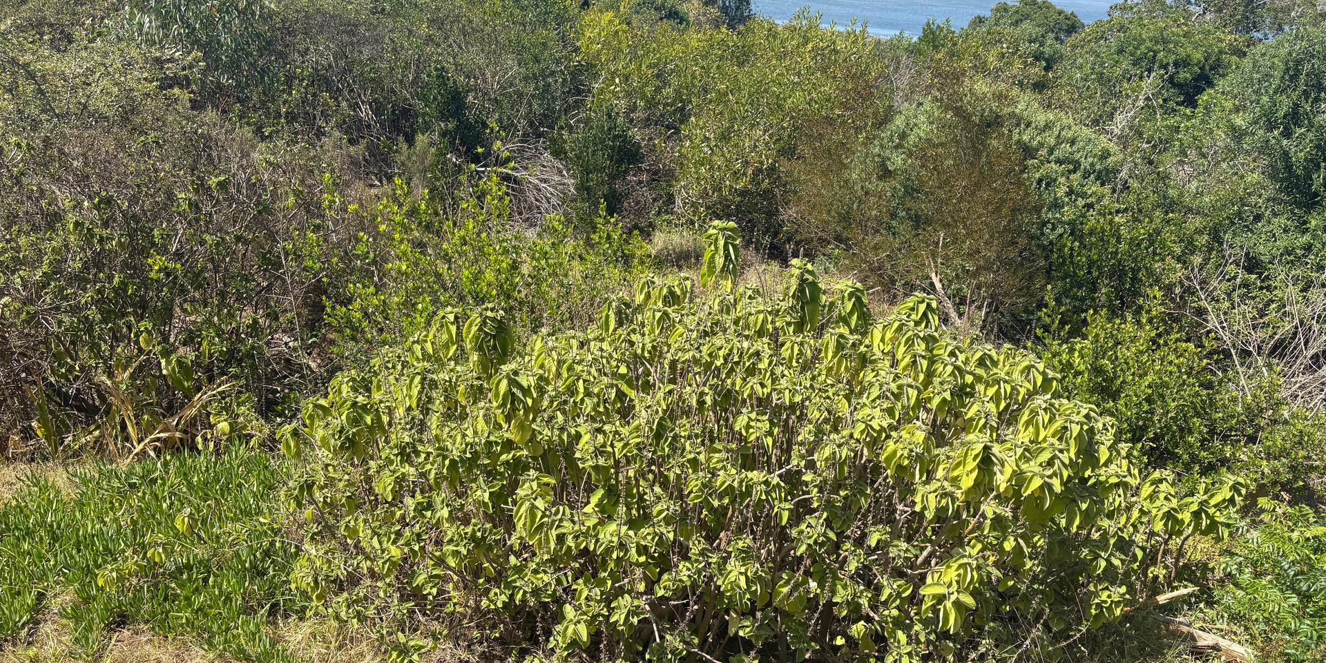 Image 2 of 6