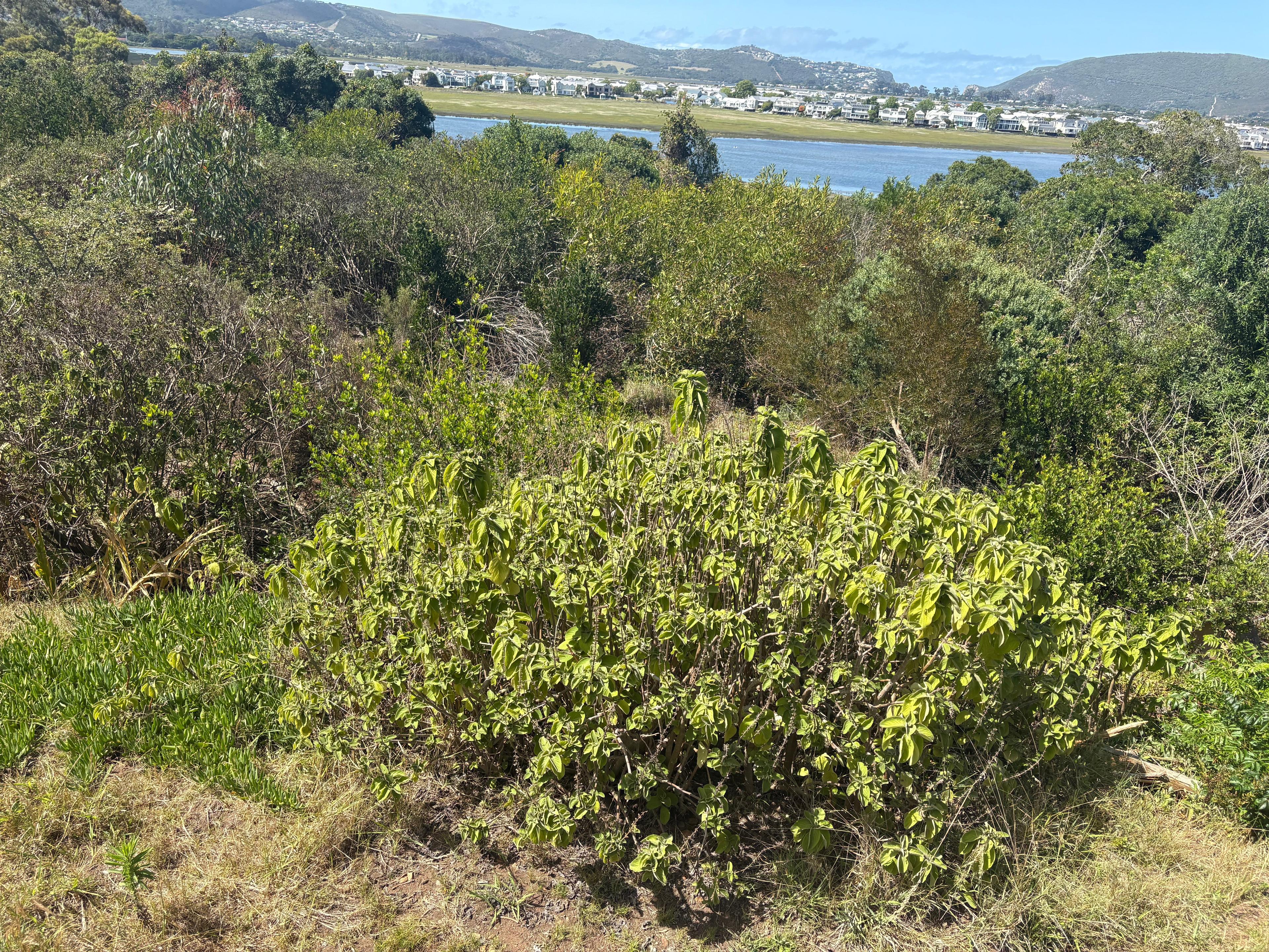 Image 2 of 6