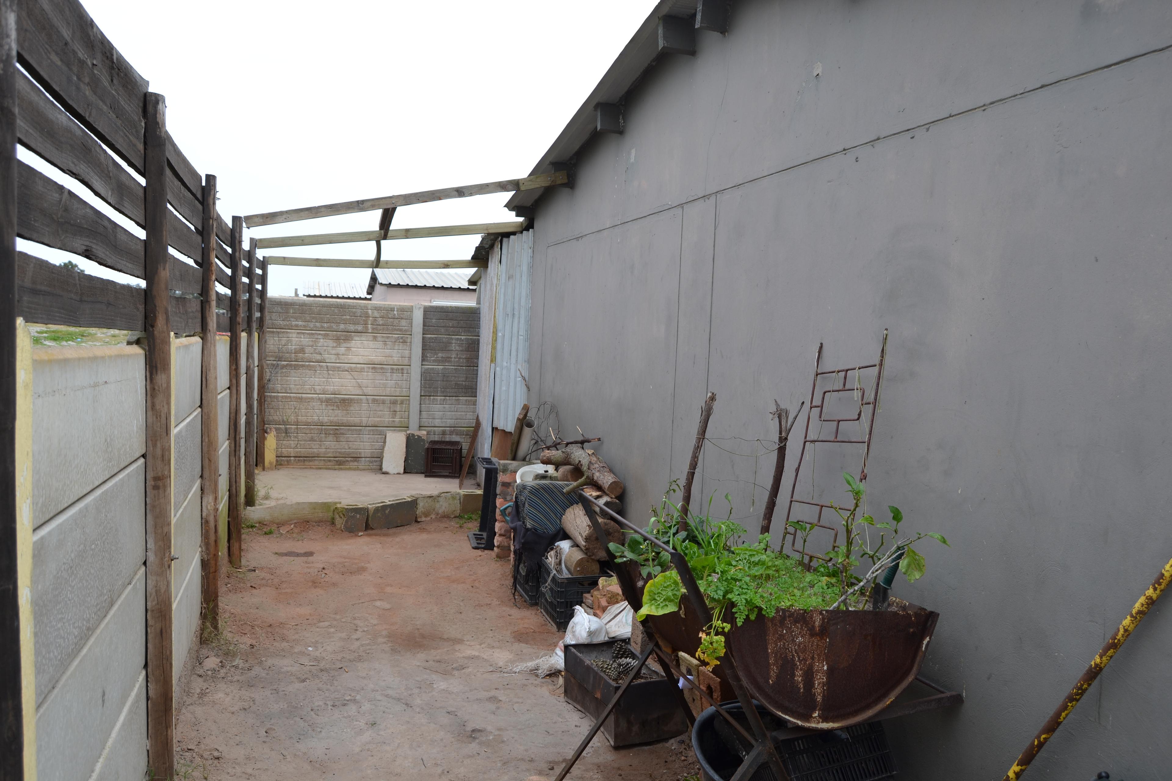 Image 15