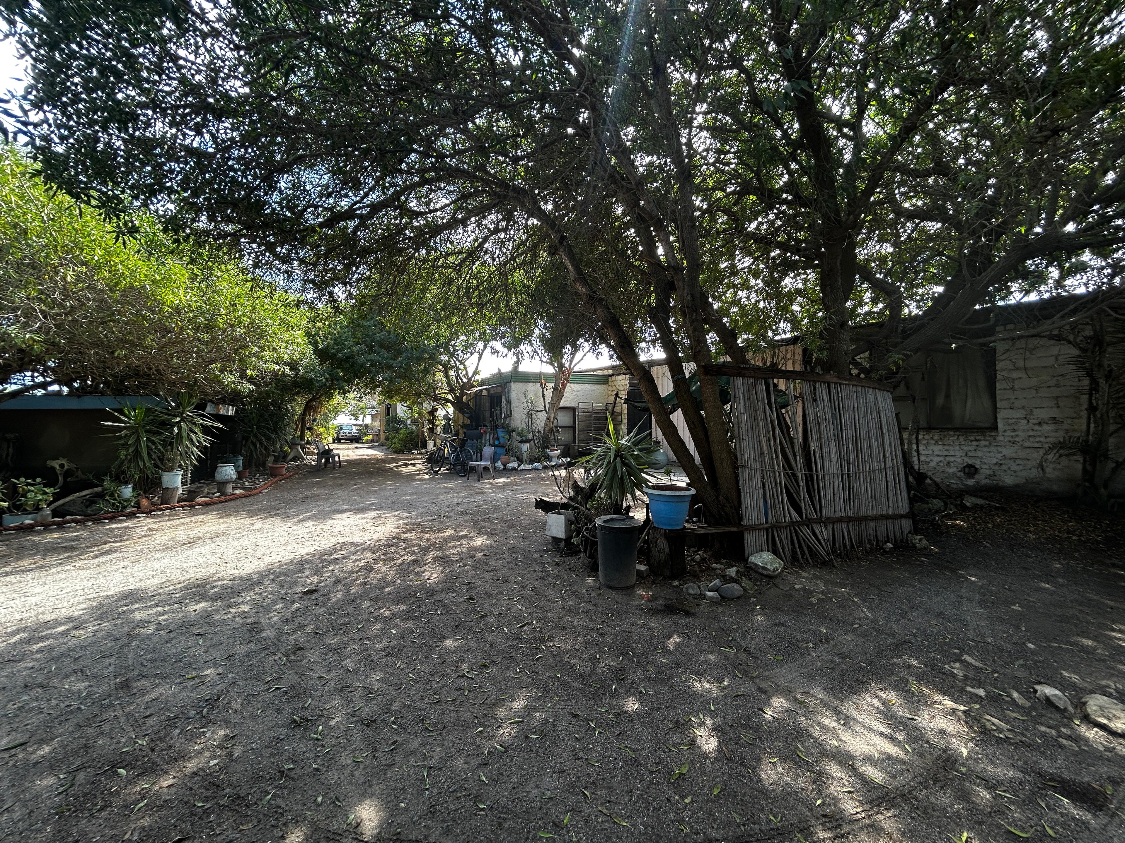 Image 3 of 6
