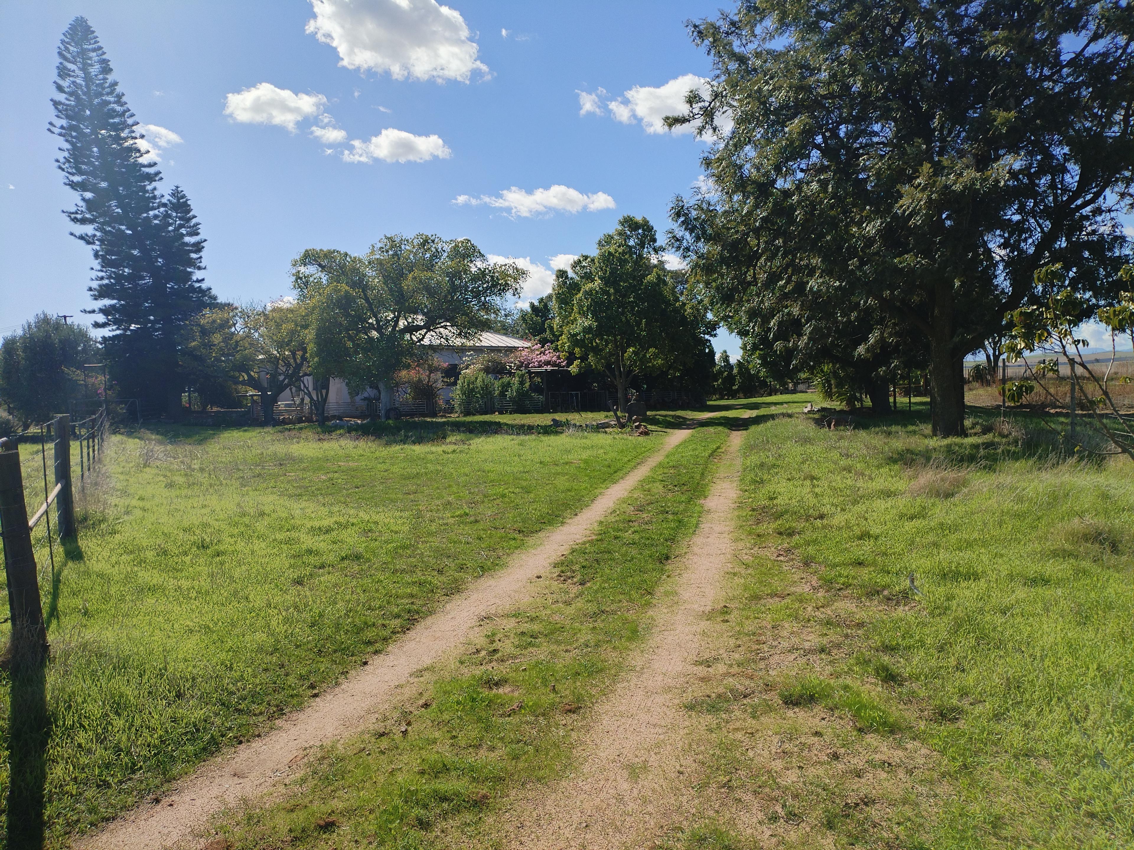 Image 19