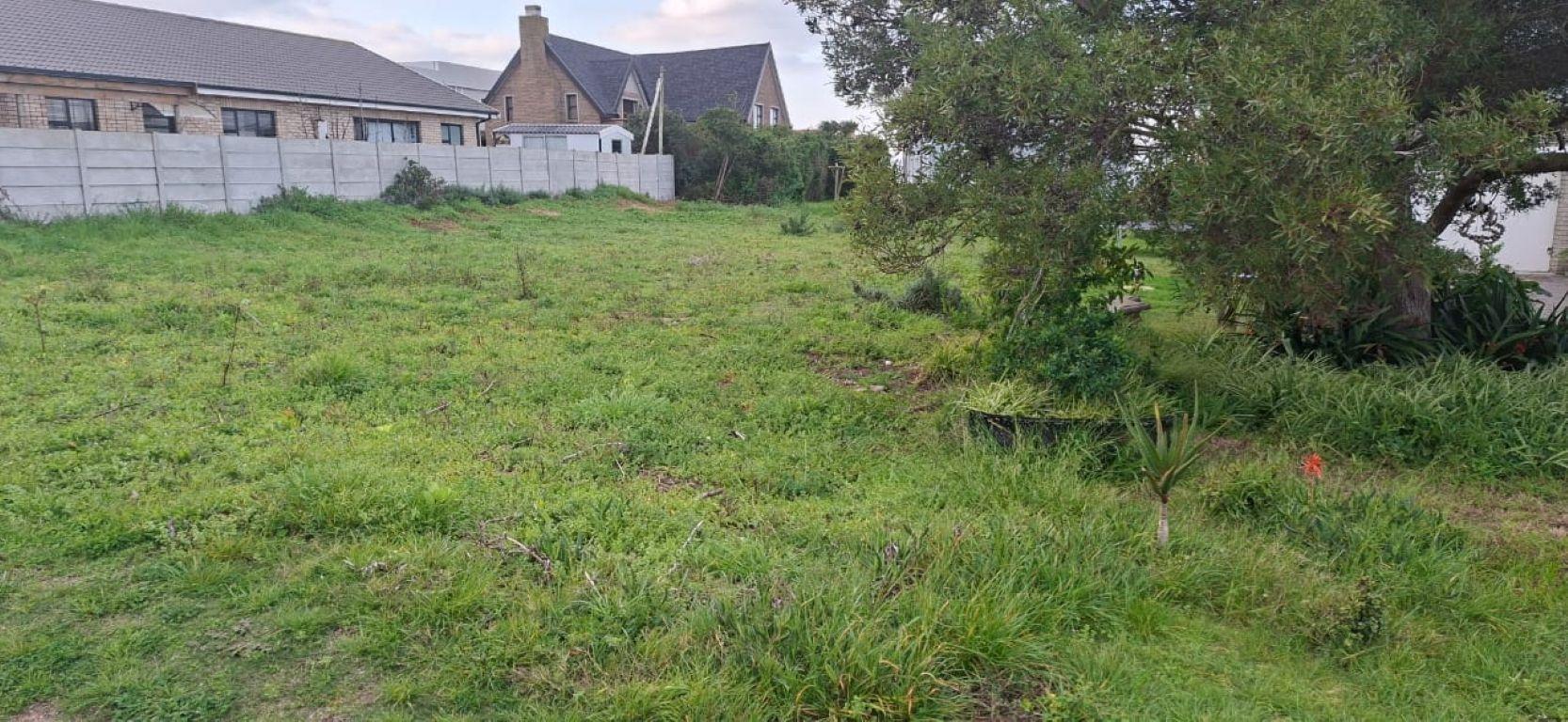 Image 3 of 6