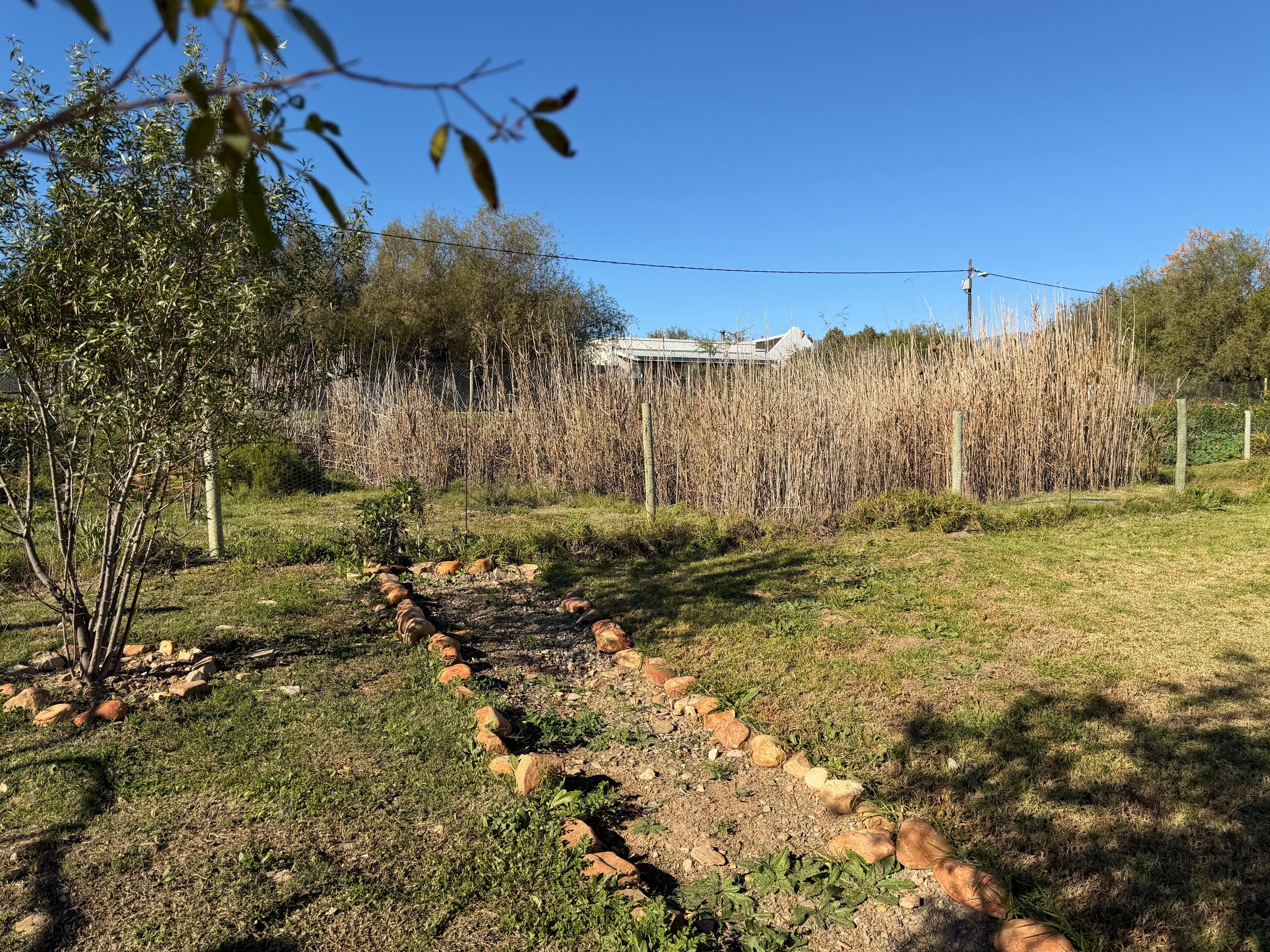 Image 33
