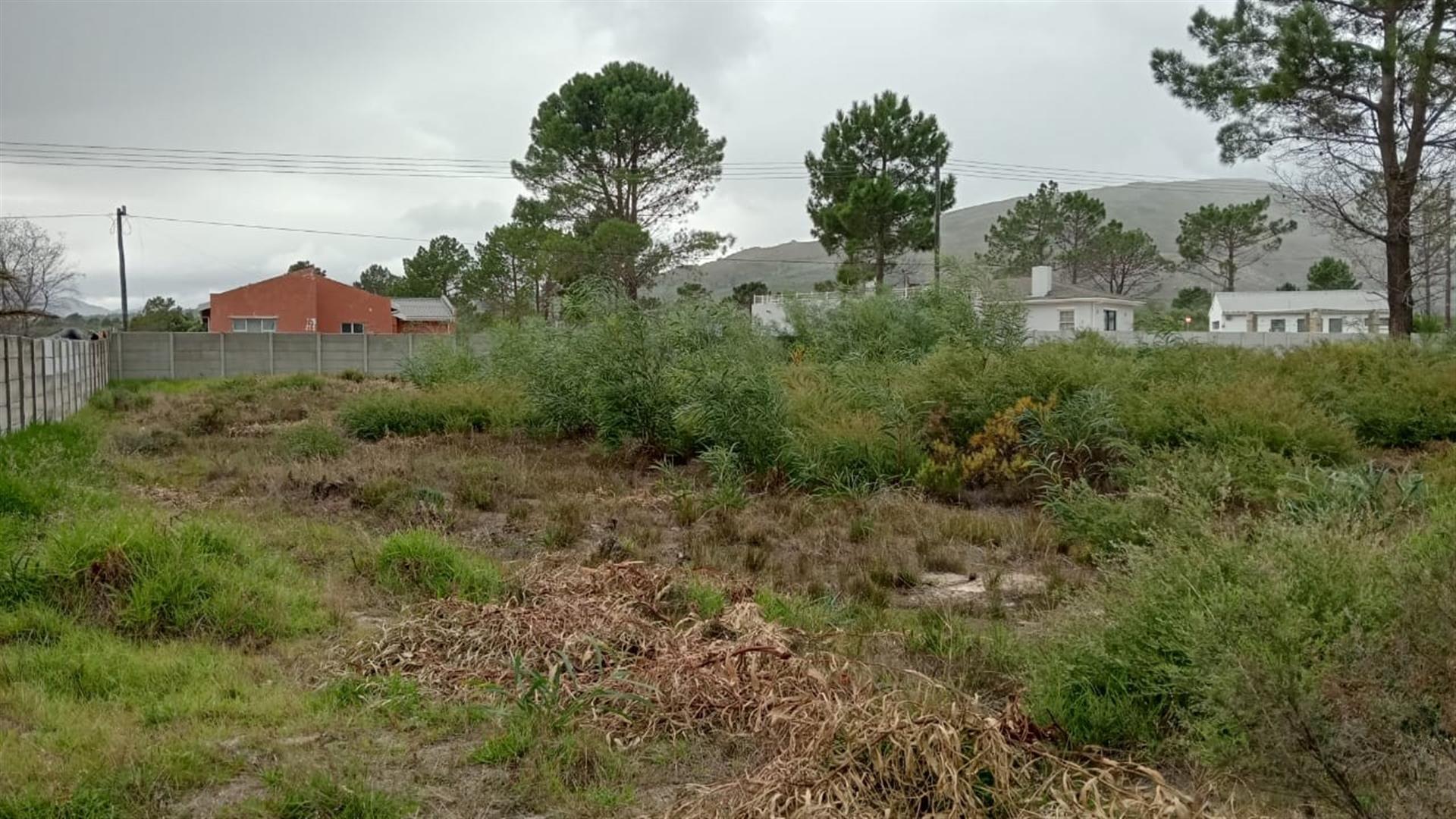 Image 4 of 6