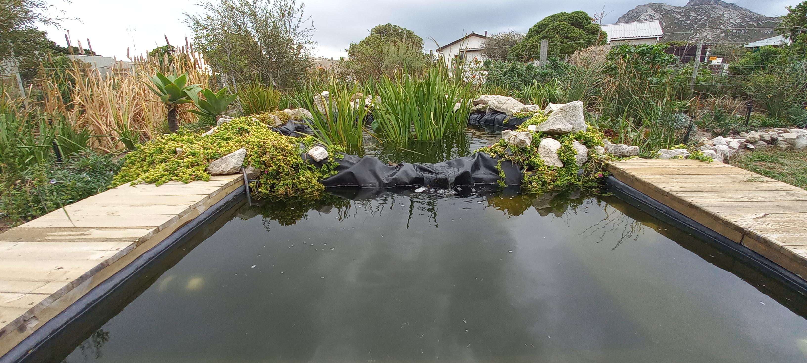 Image 22