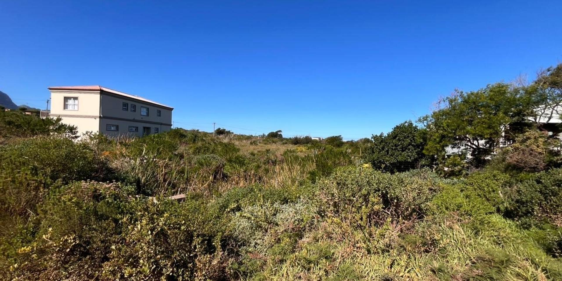 Image 5 of 6
