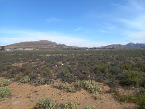 Image 5 of 6