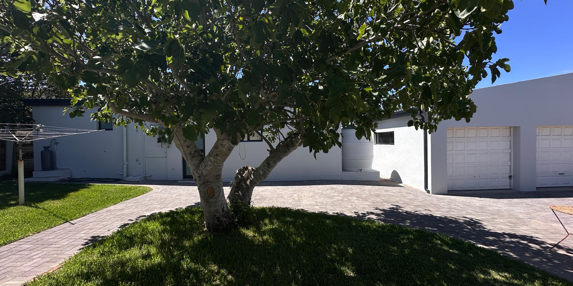 Image 5 of 6