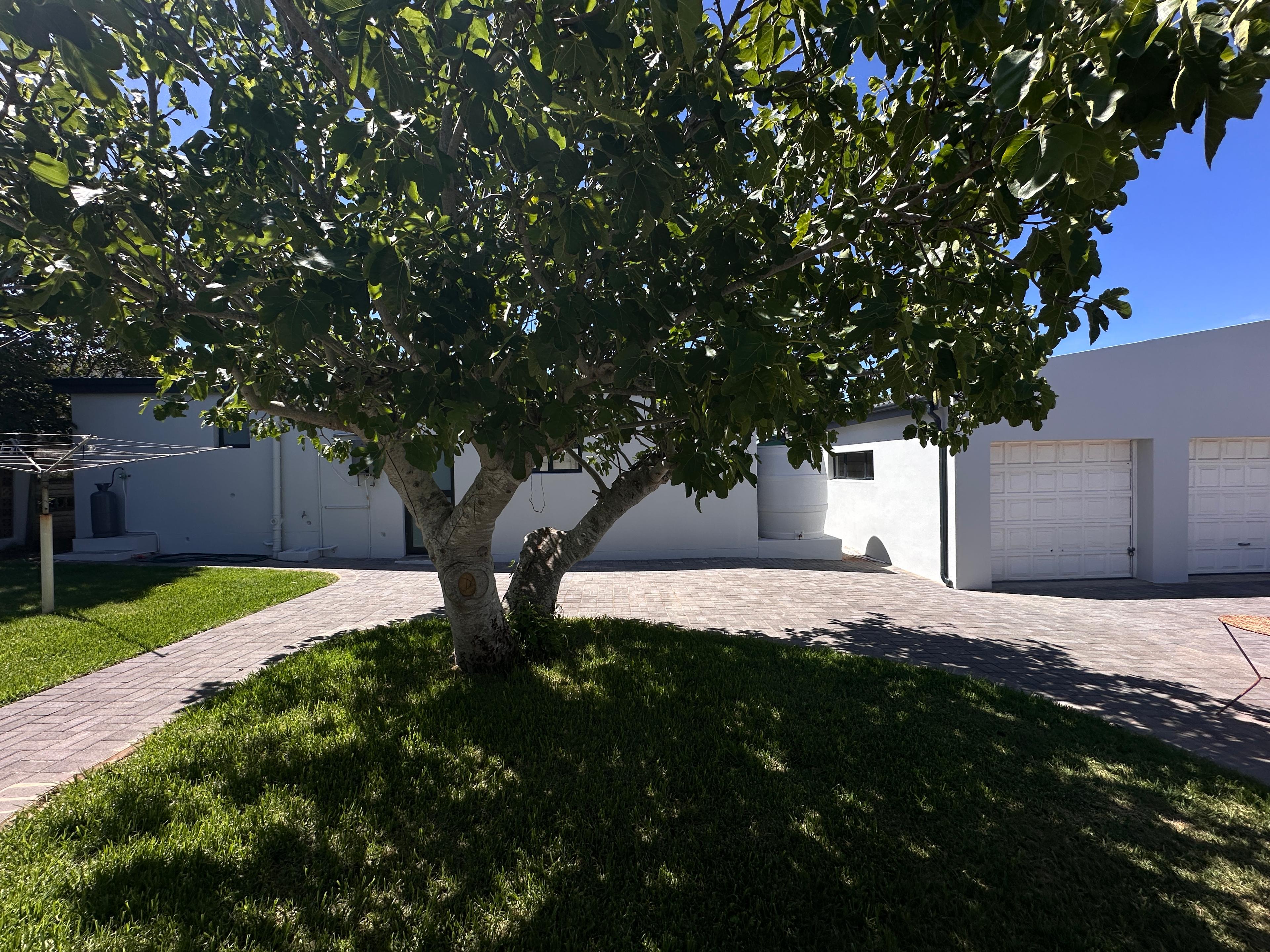 Image 5 of 6