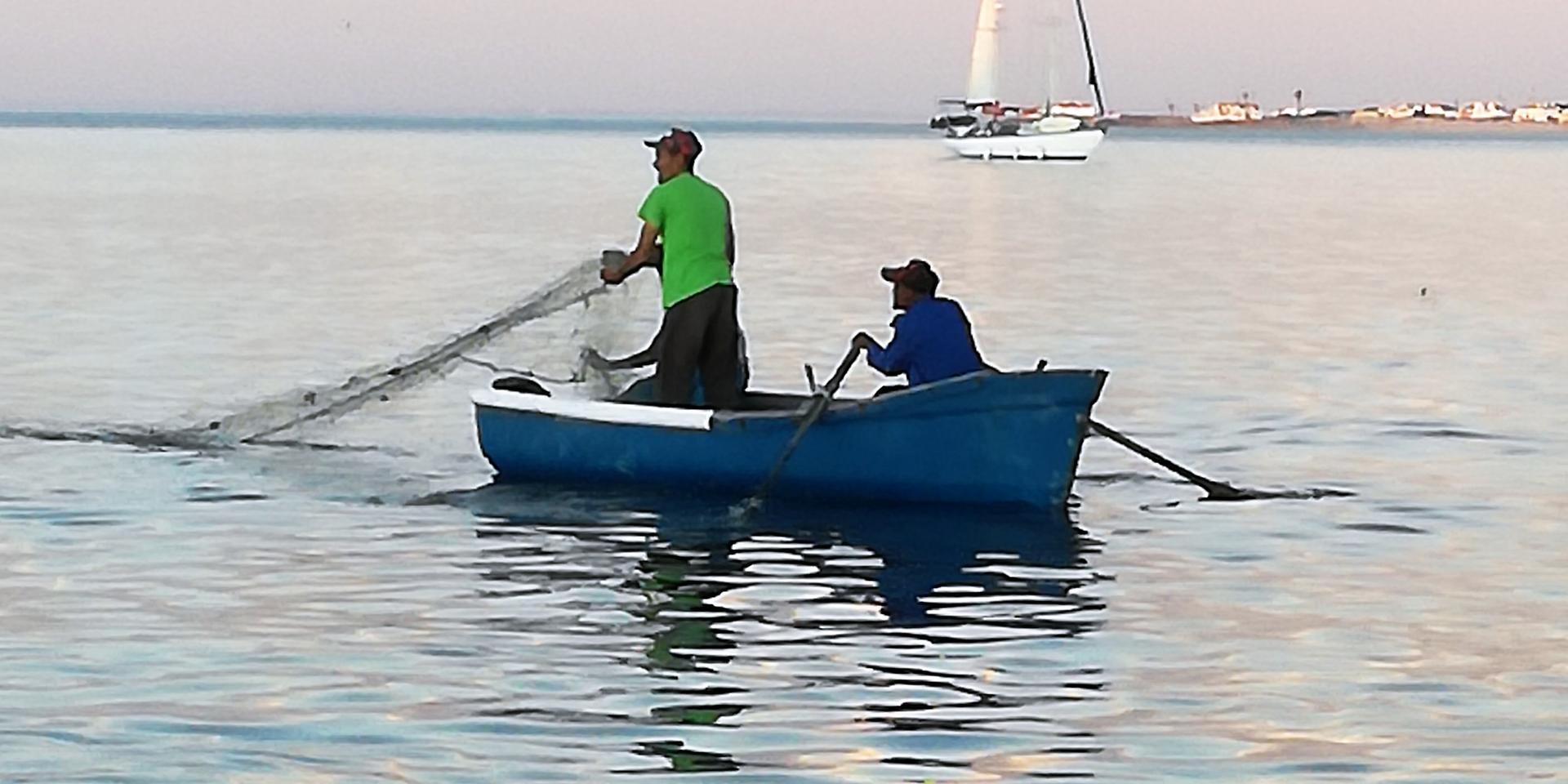 Image 4 of 6