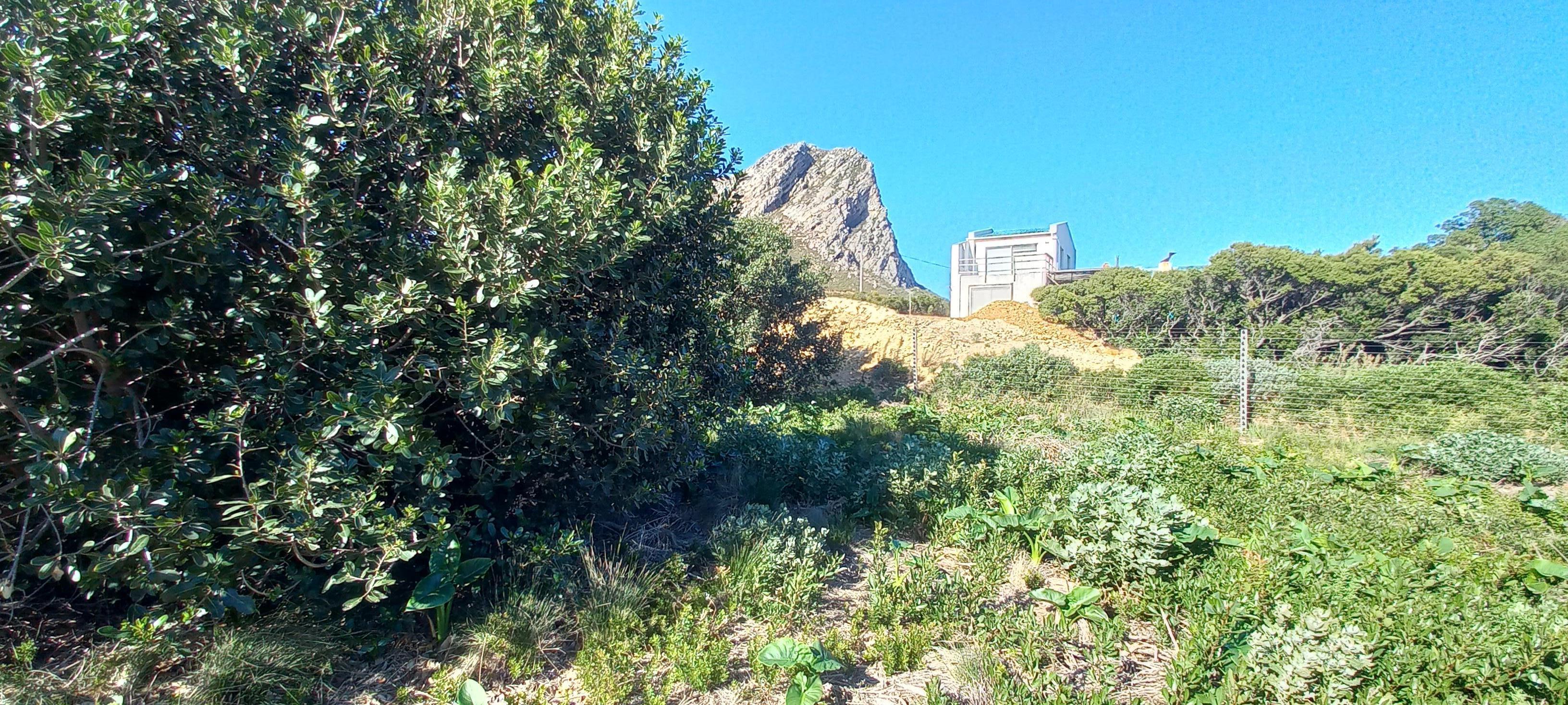 Image 12