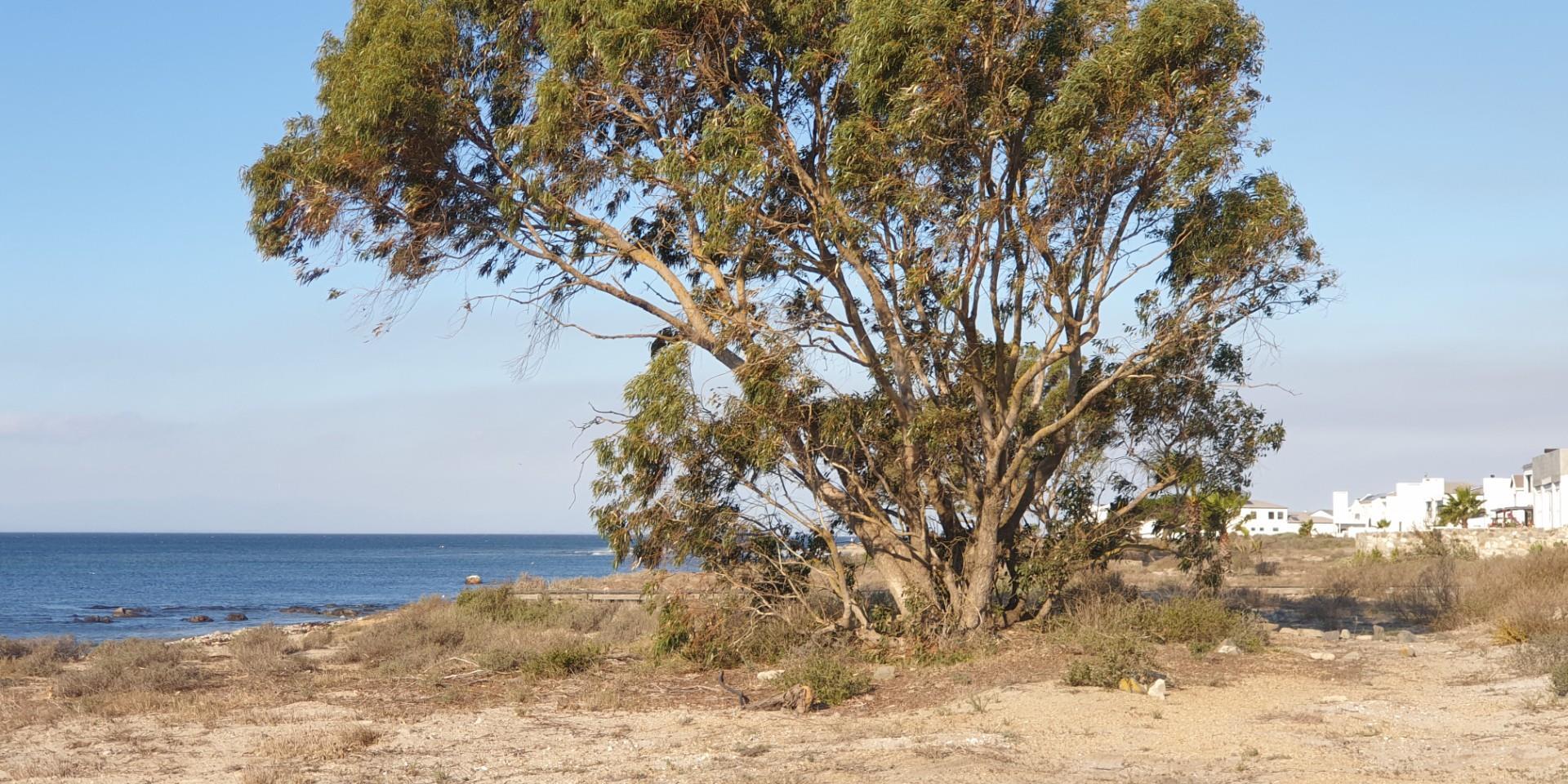 Image 3 of 6