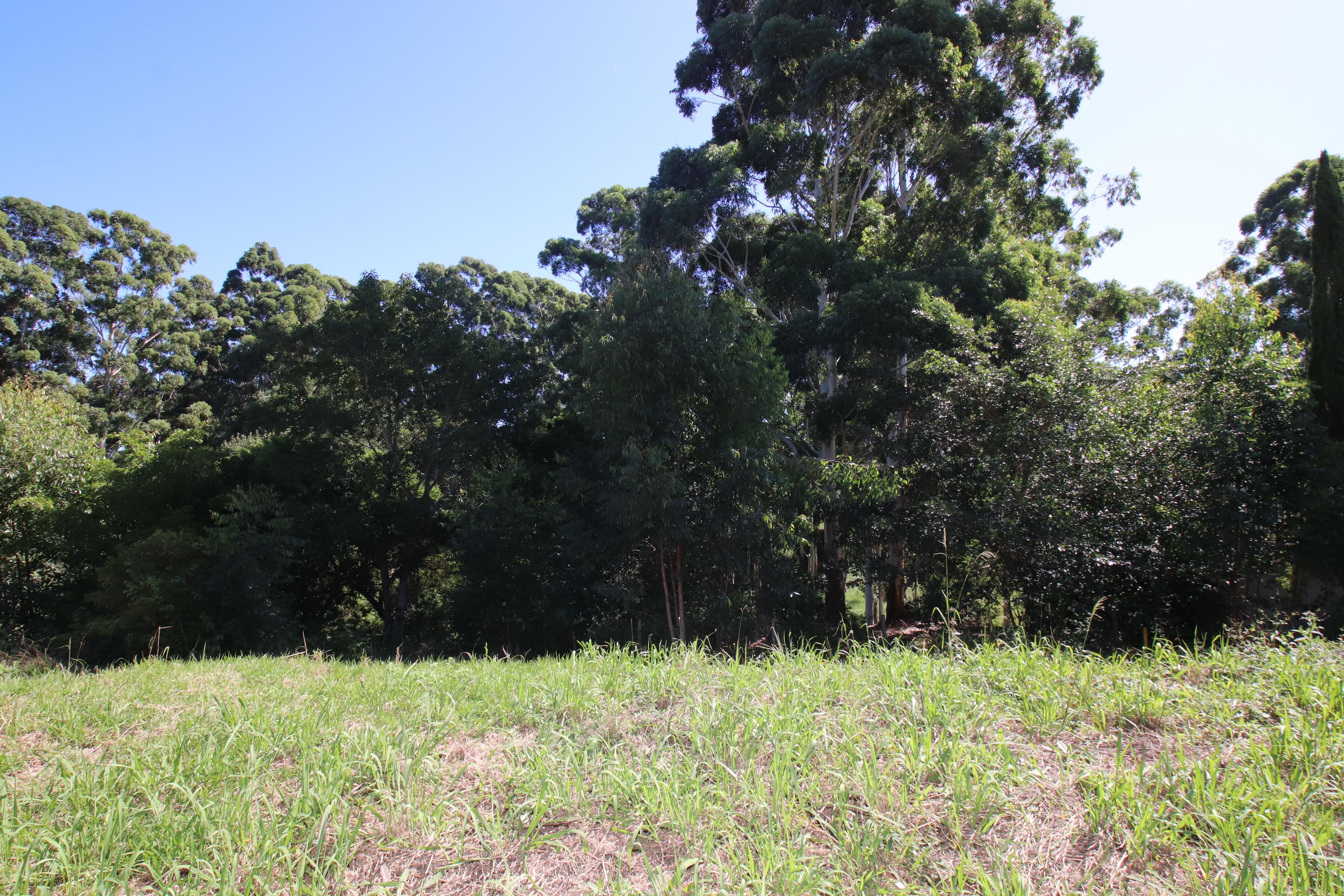 Image 3 of 6