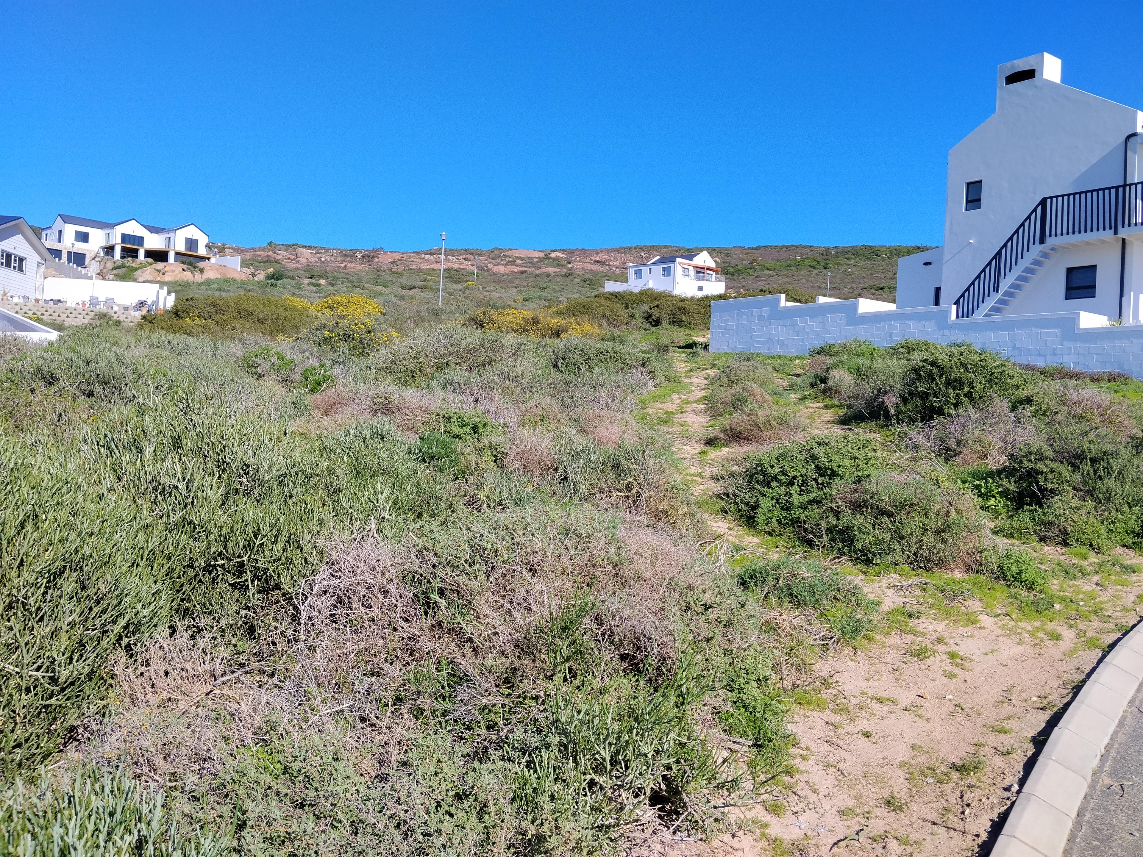Image 5 of 6