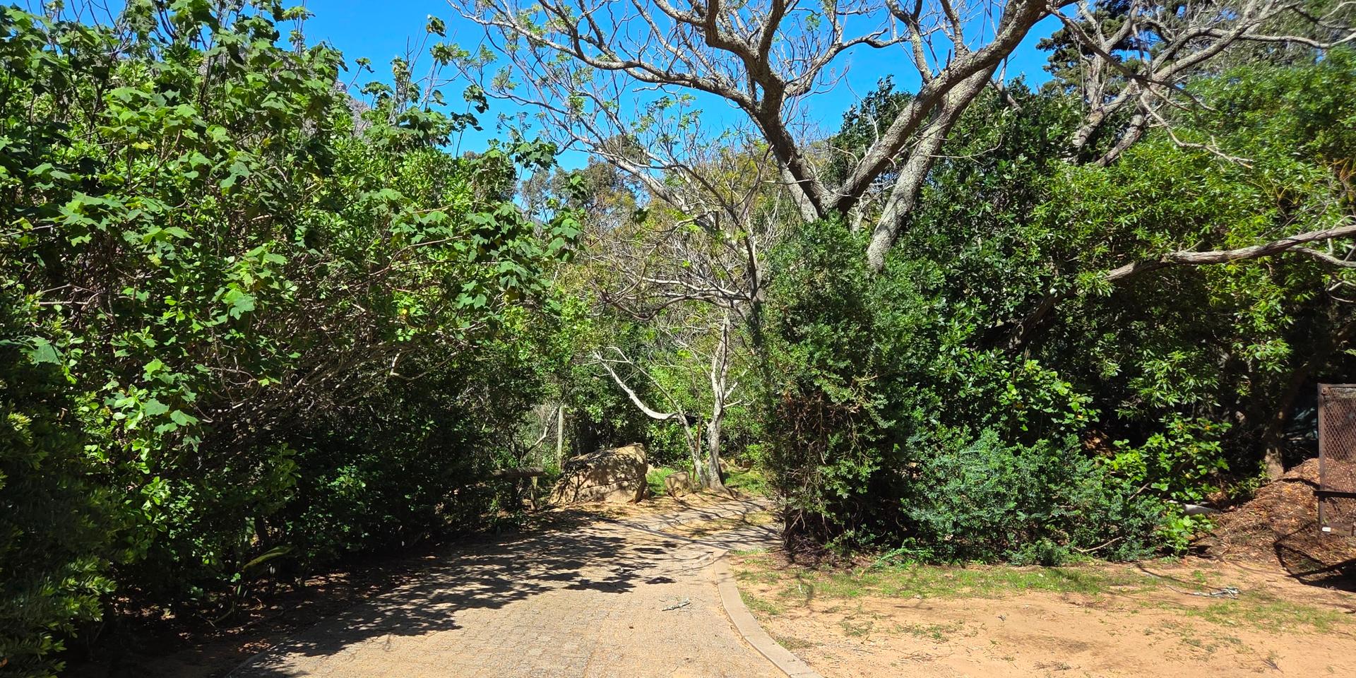 Image 4 of 6