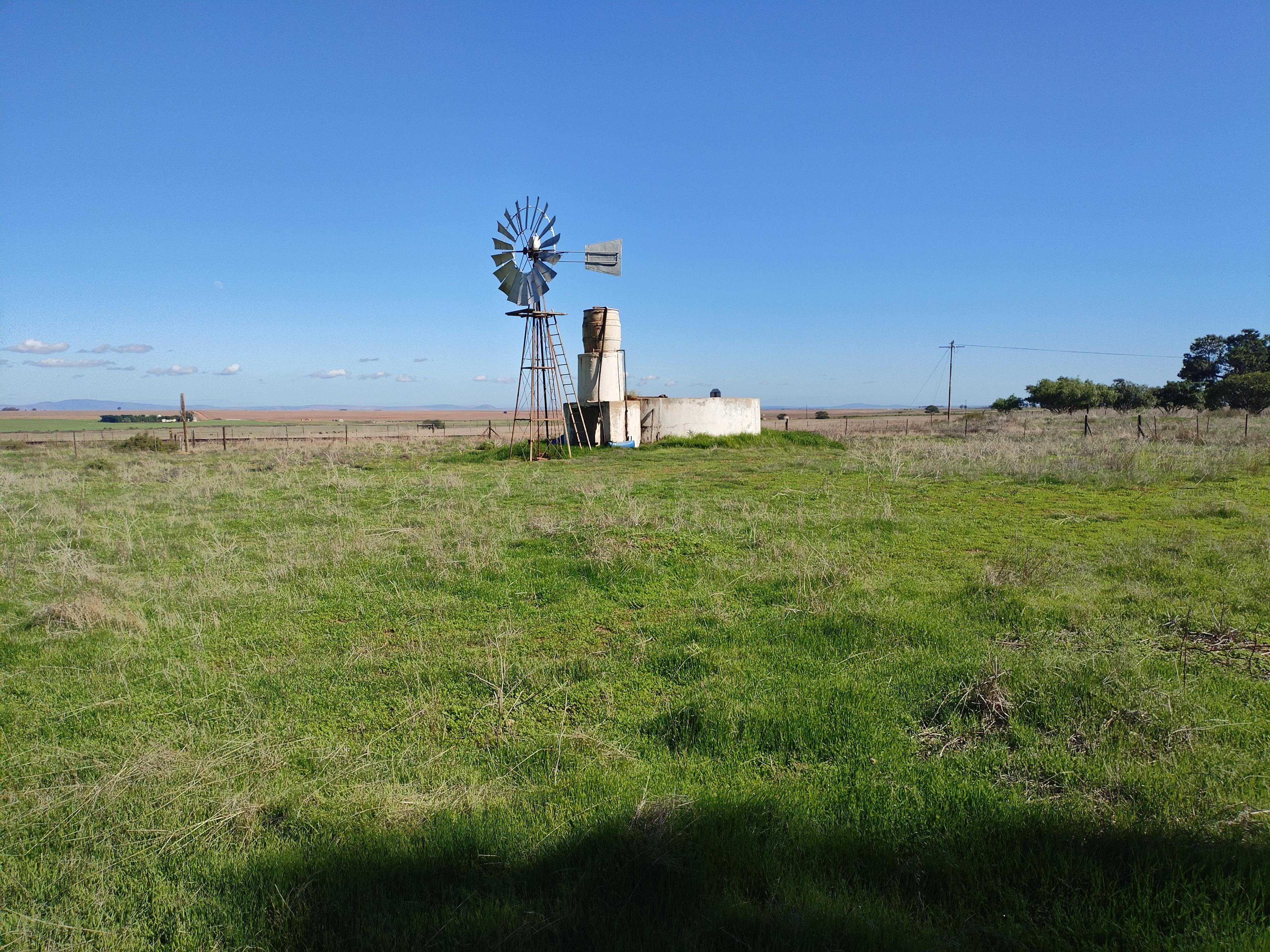 Image 3 of 6