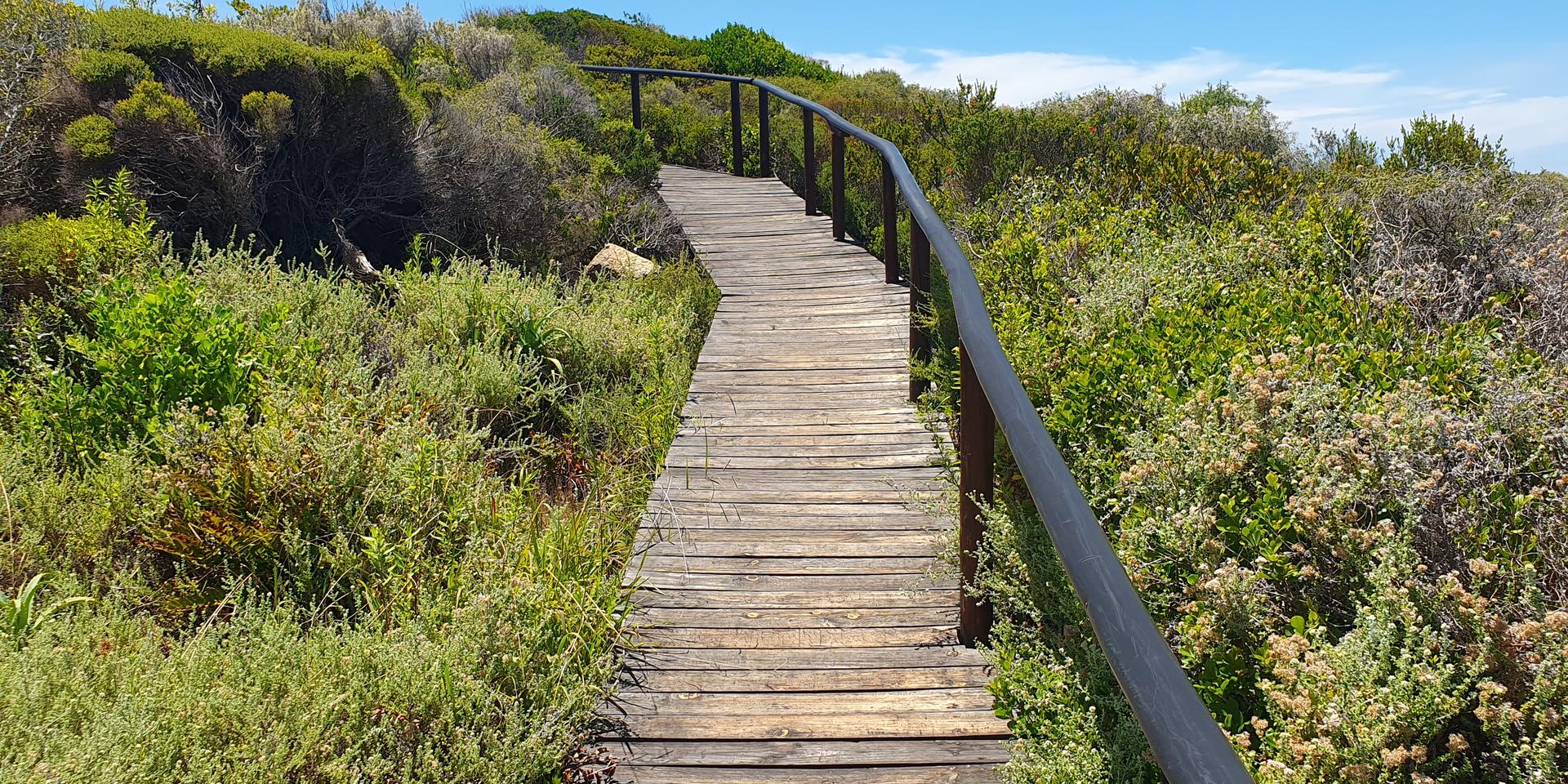 Image 4 of 6