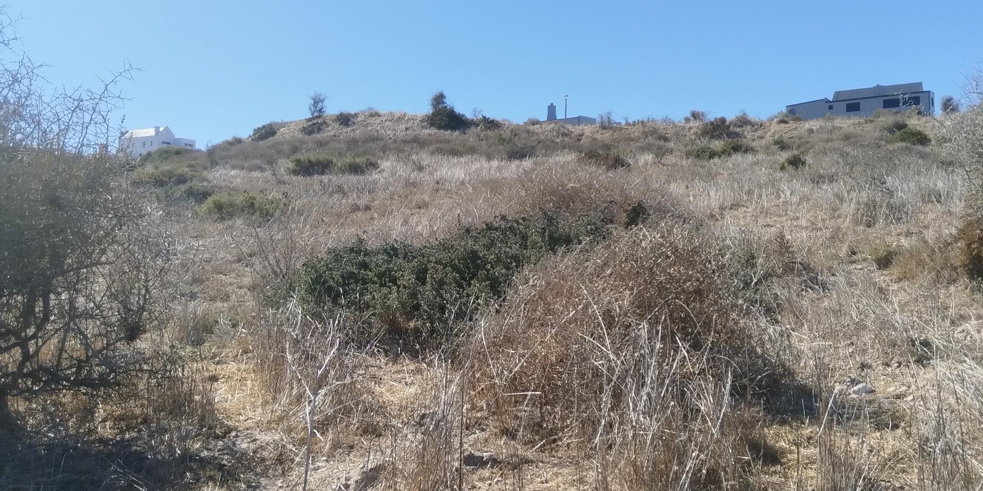 Image 4 of 6
