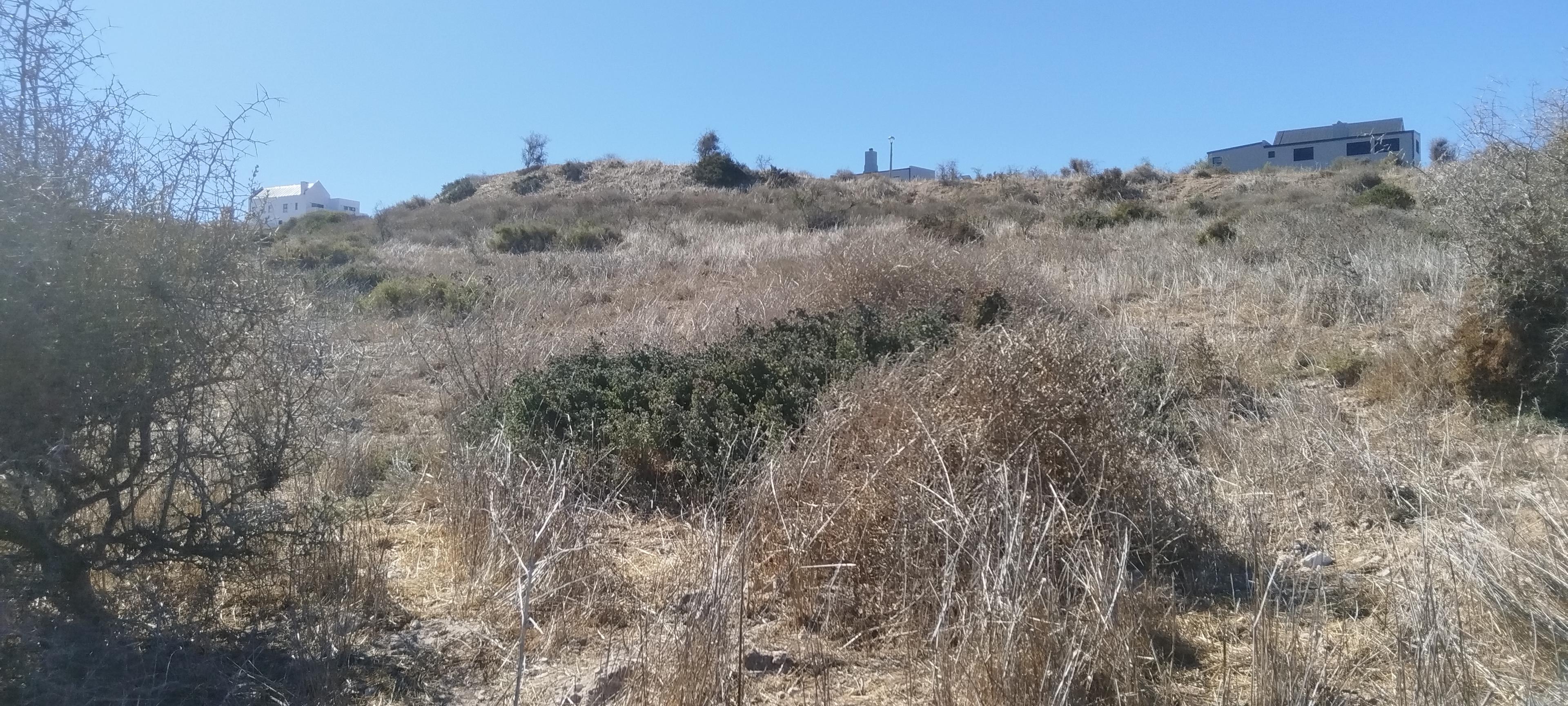 Image 4 of 6