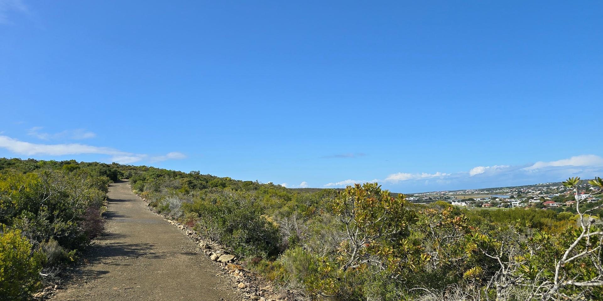 Image 5 of 6