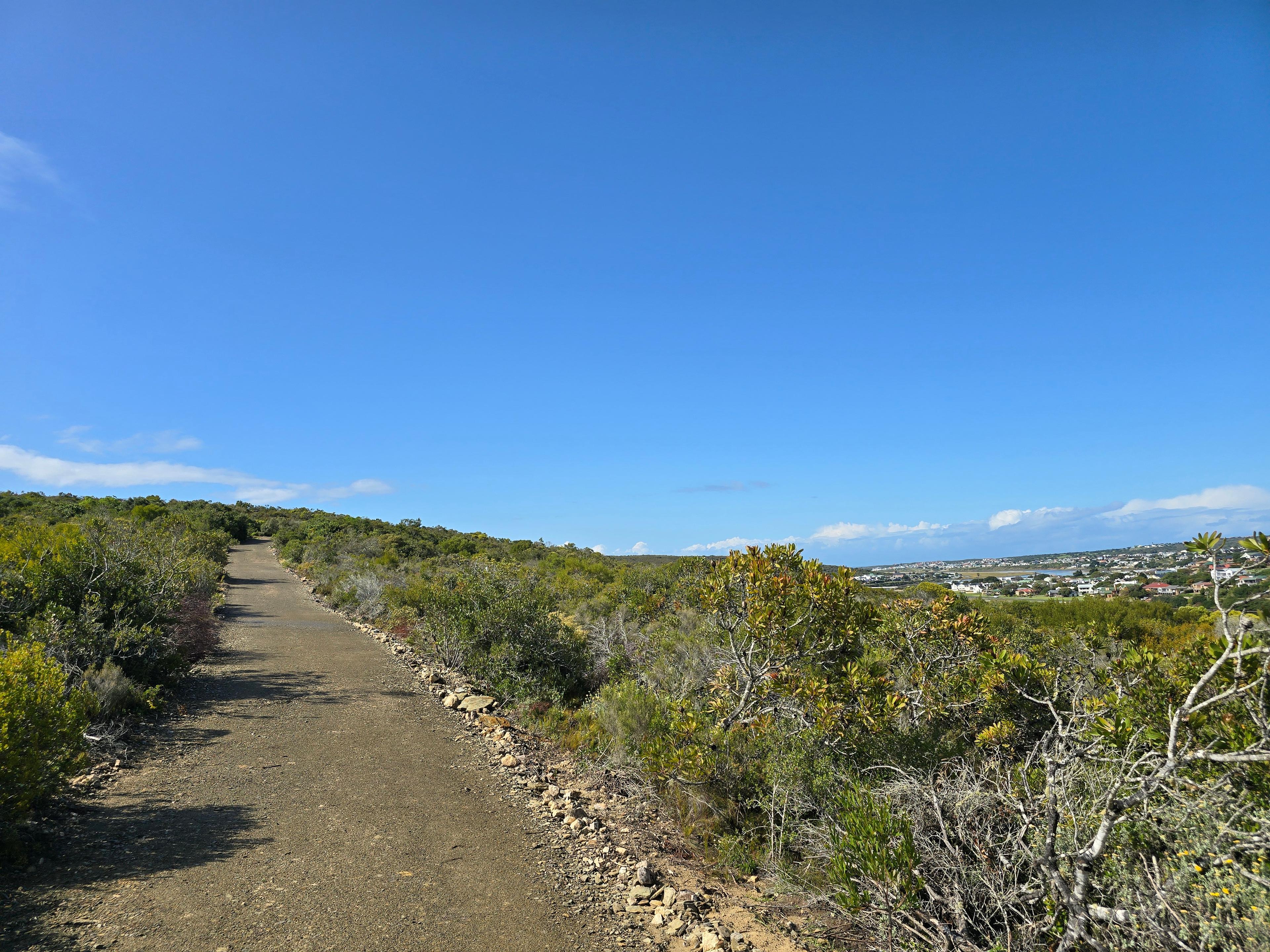 Image 5 of 6