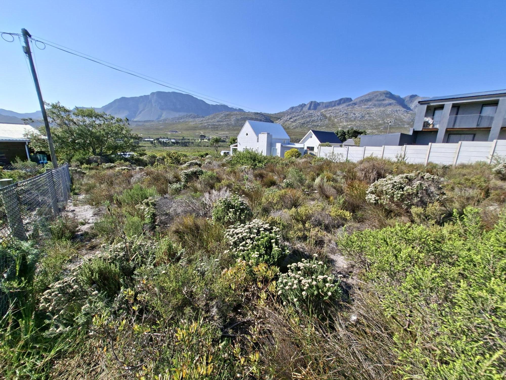 Image 21