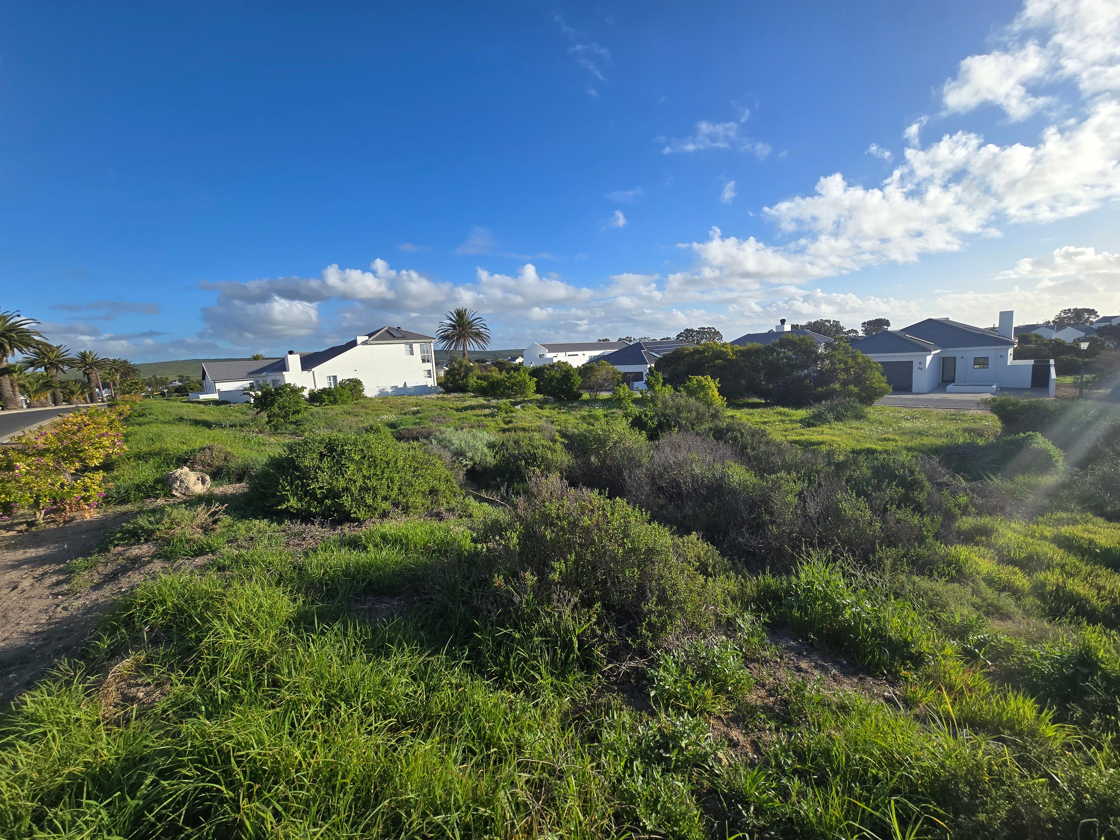 Image 5 of 6