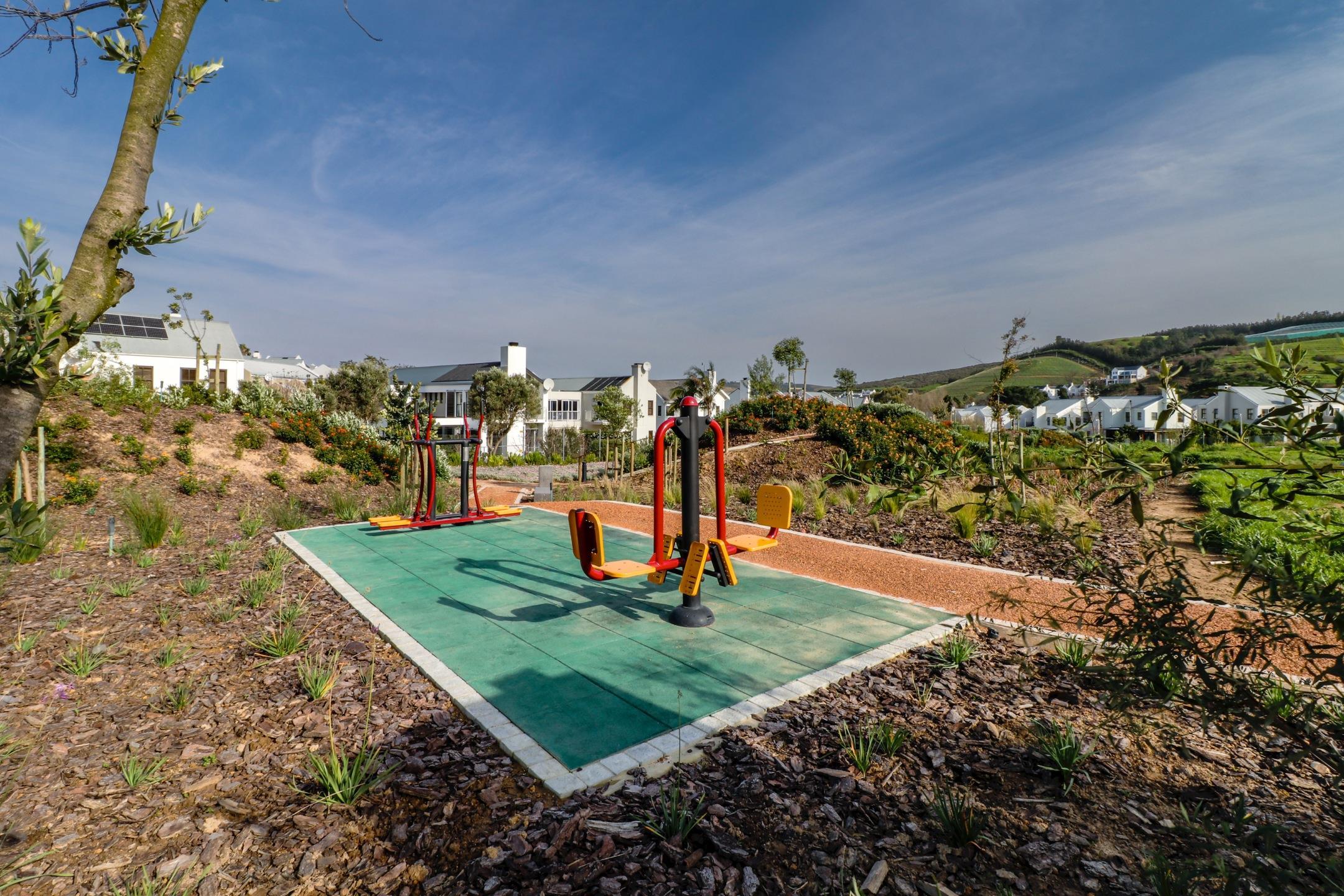 Image 15