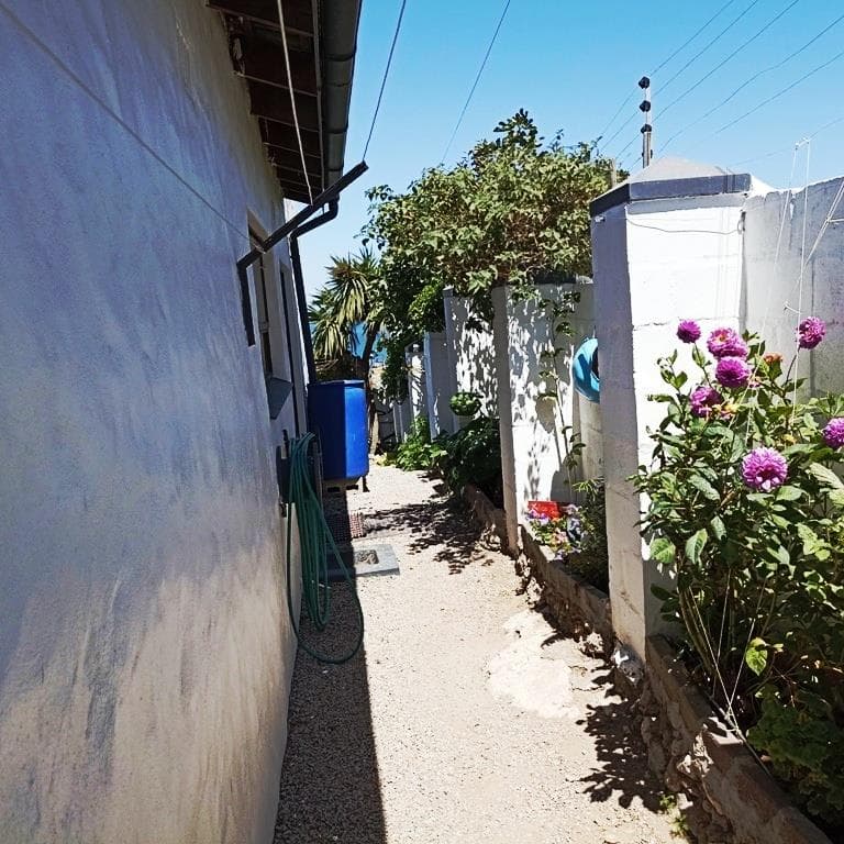 Image 13