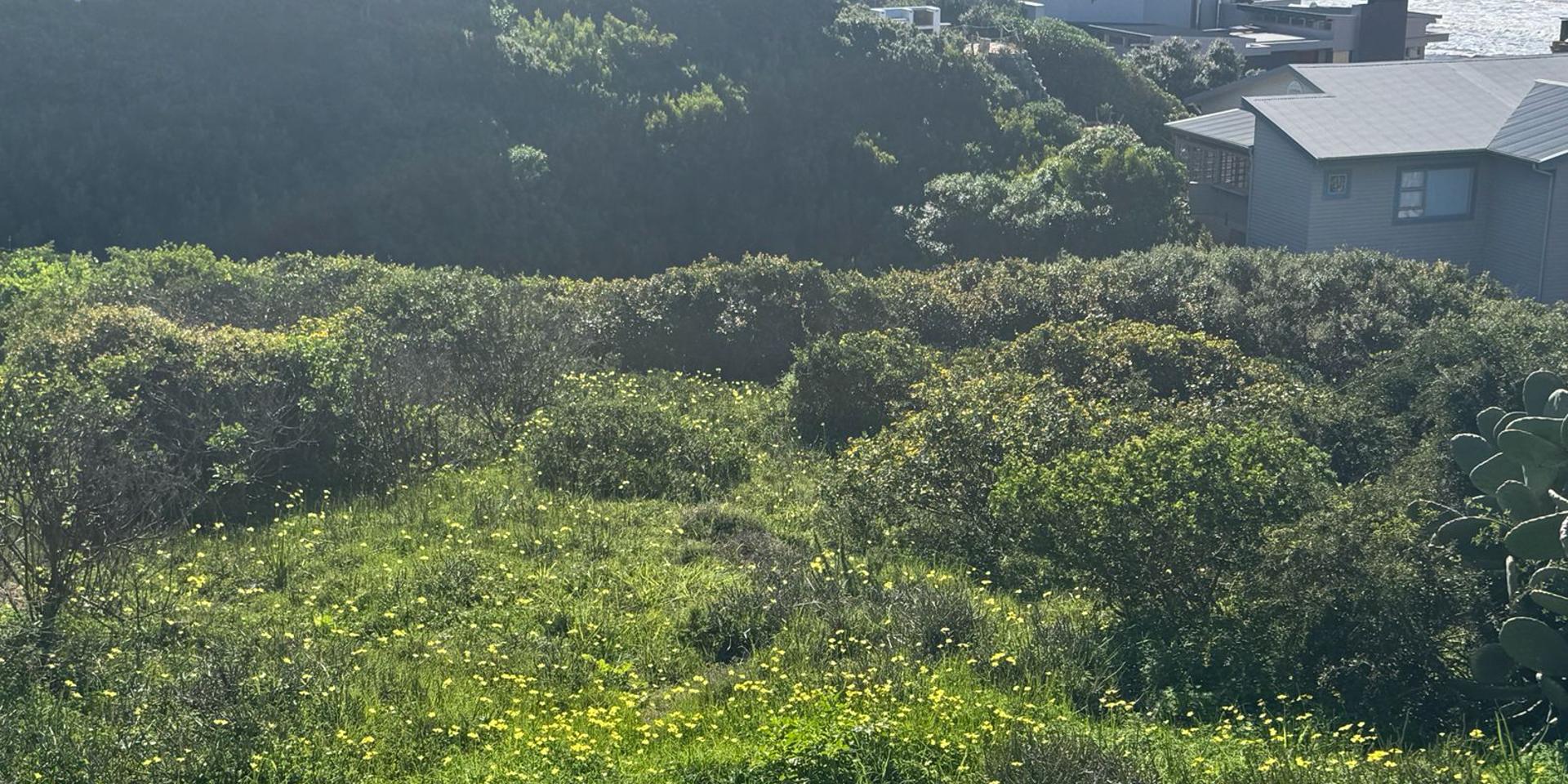 Image 4 of 6
