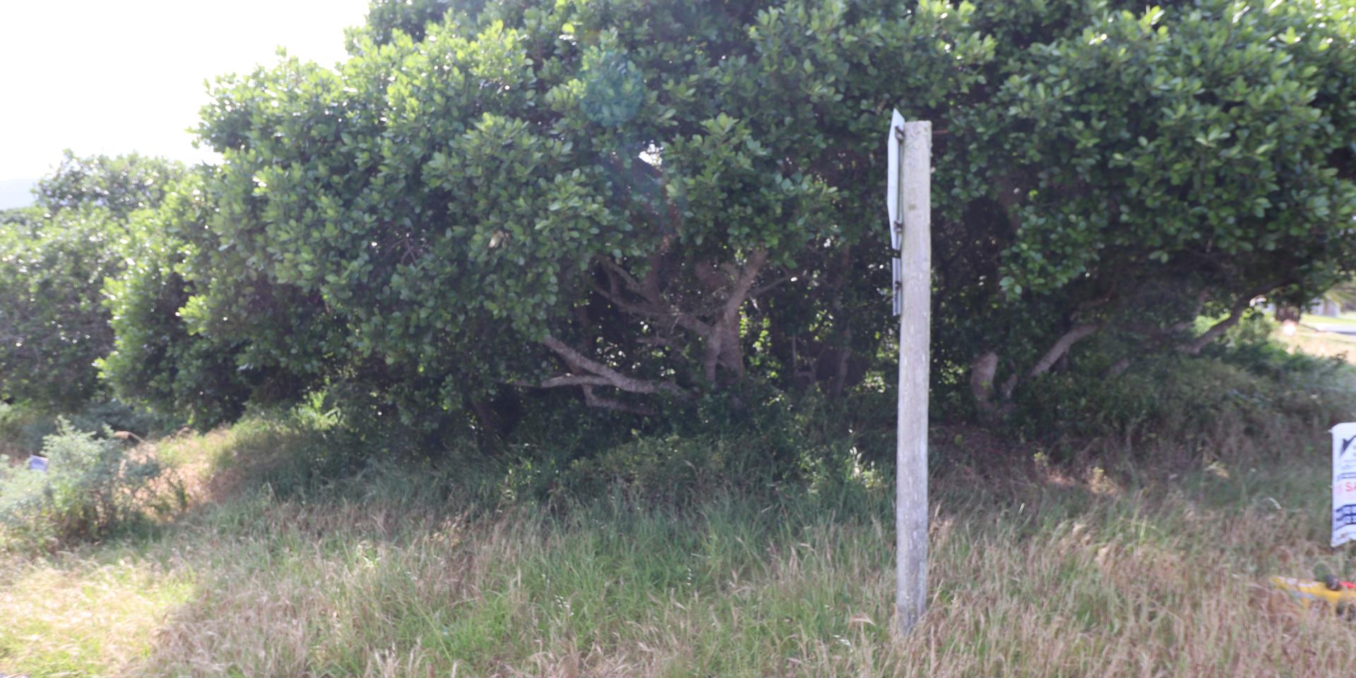 Image 4 of 6