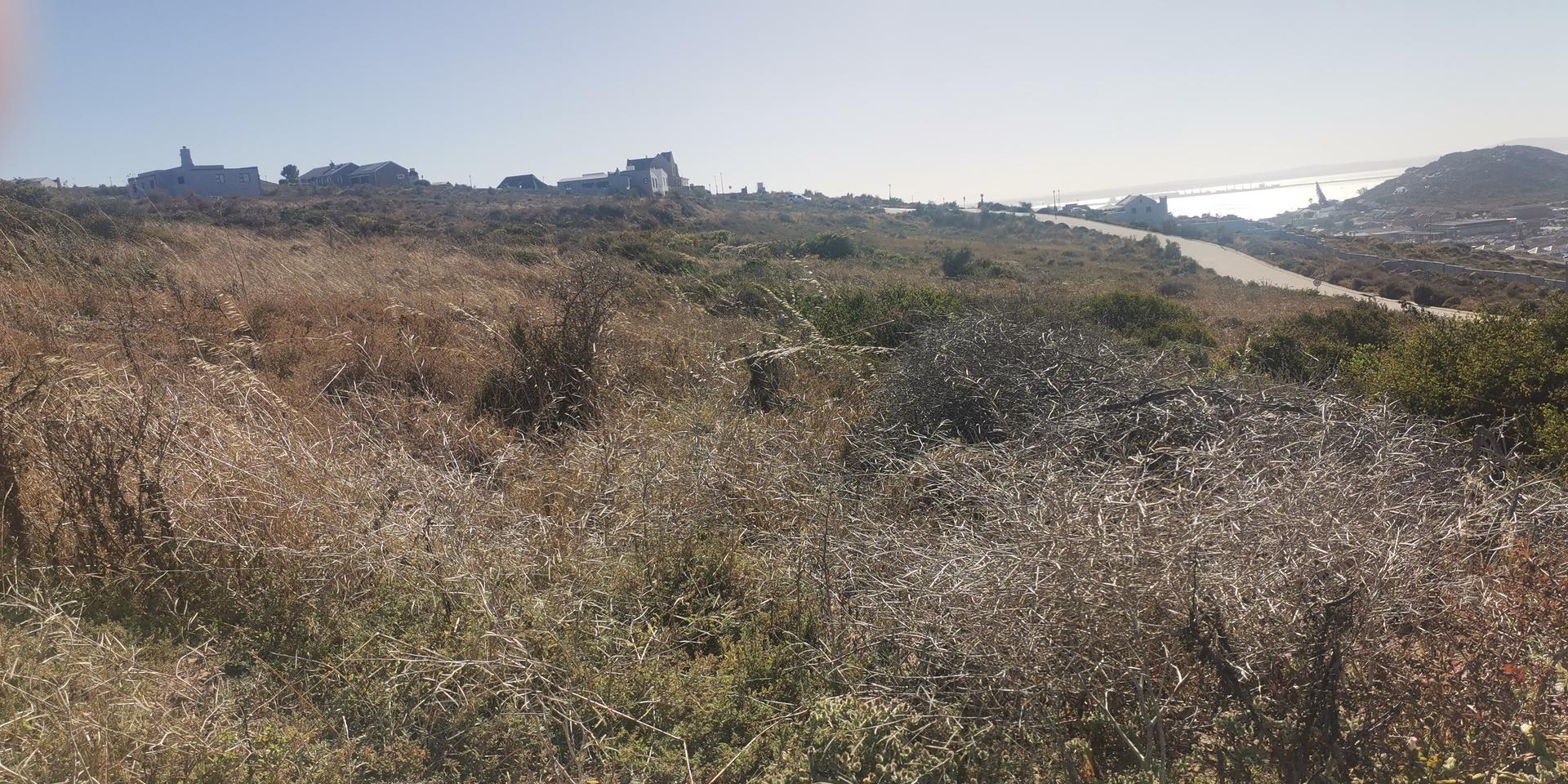 Image 2 of 6