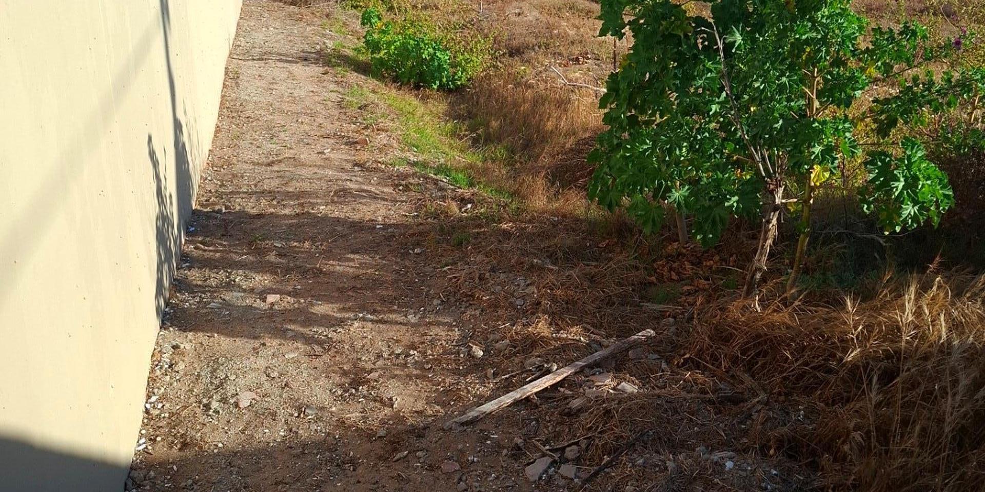 Image 5 of 6