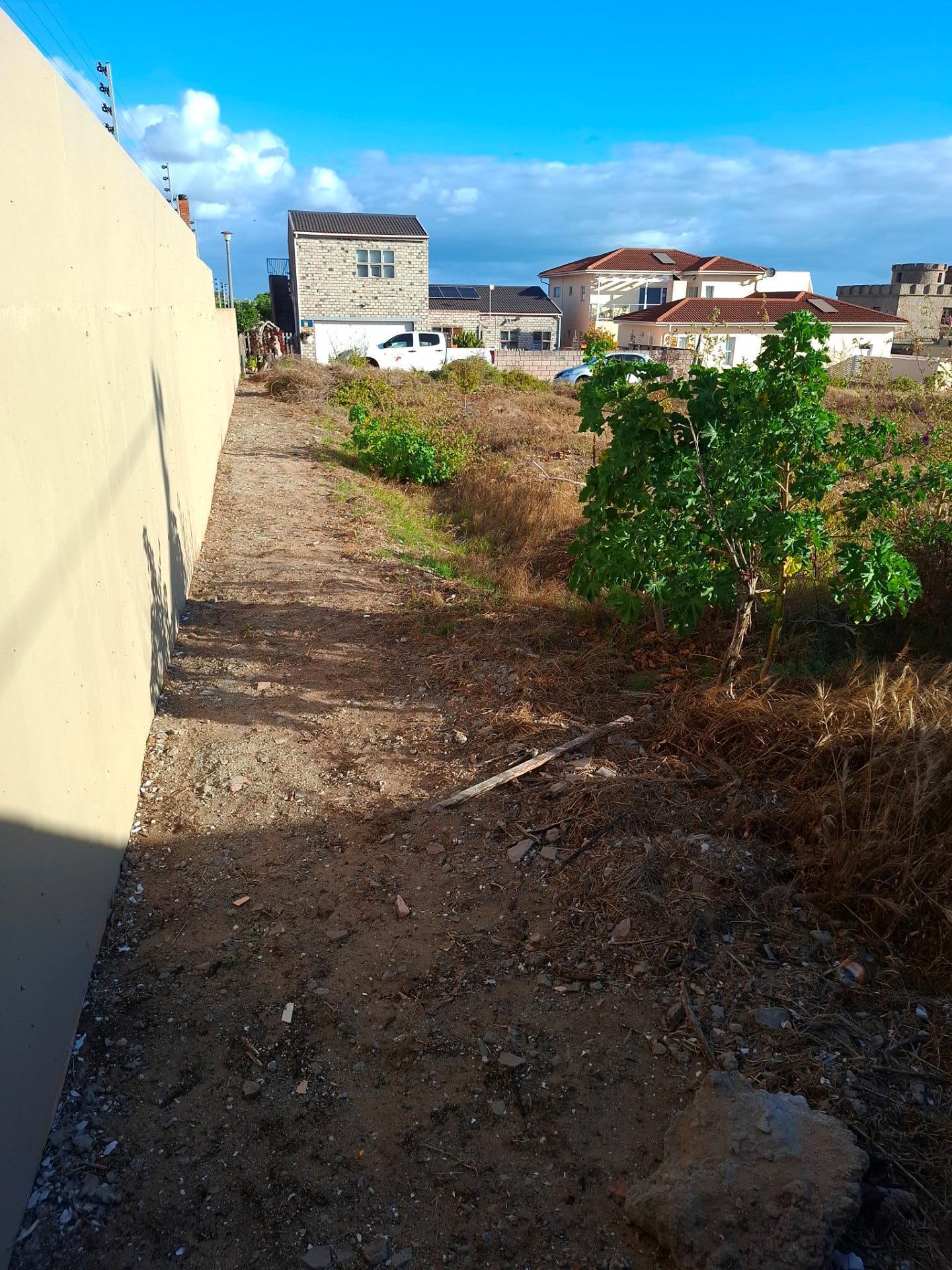 Image 5 of 6
