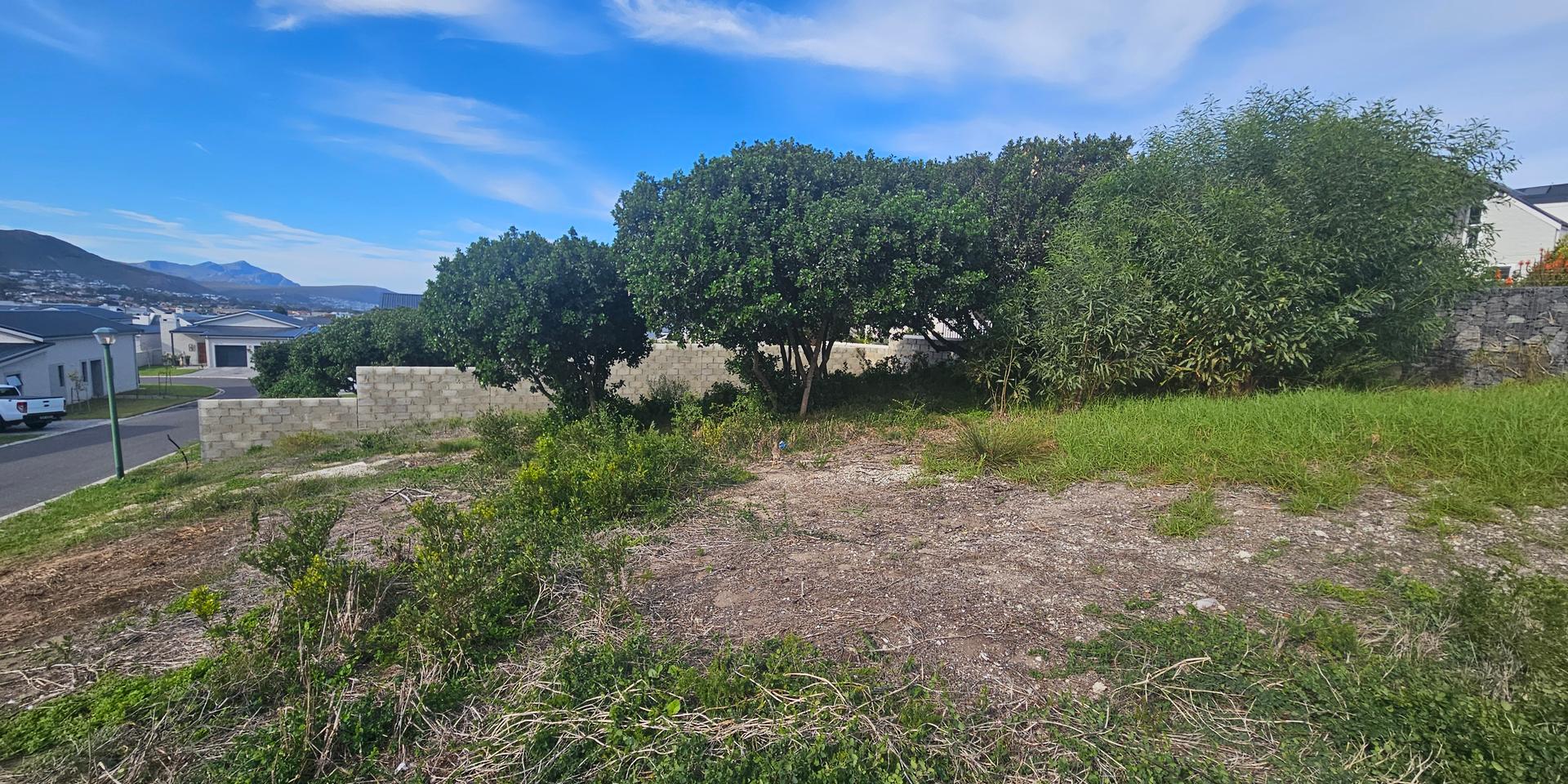 Image 4 of 6