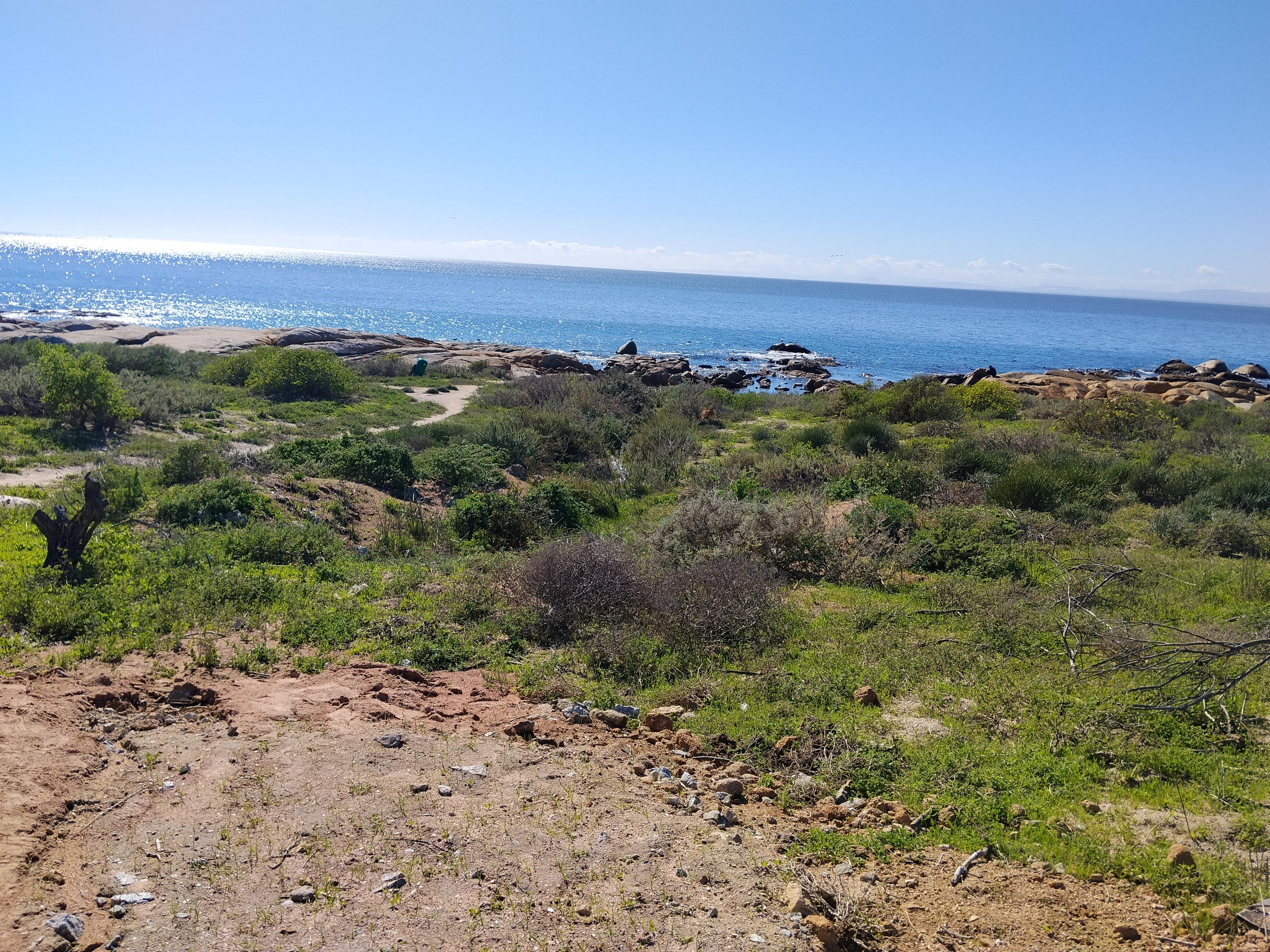 Image 4 of 6