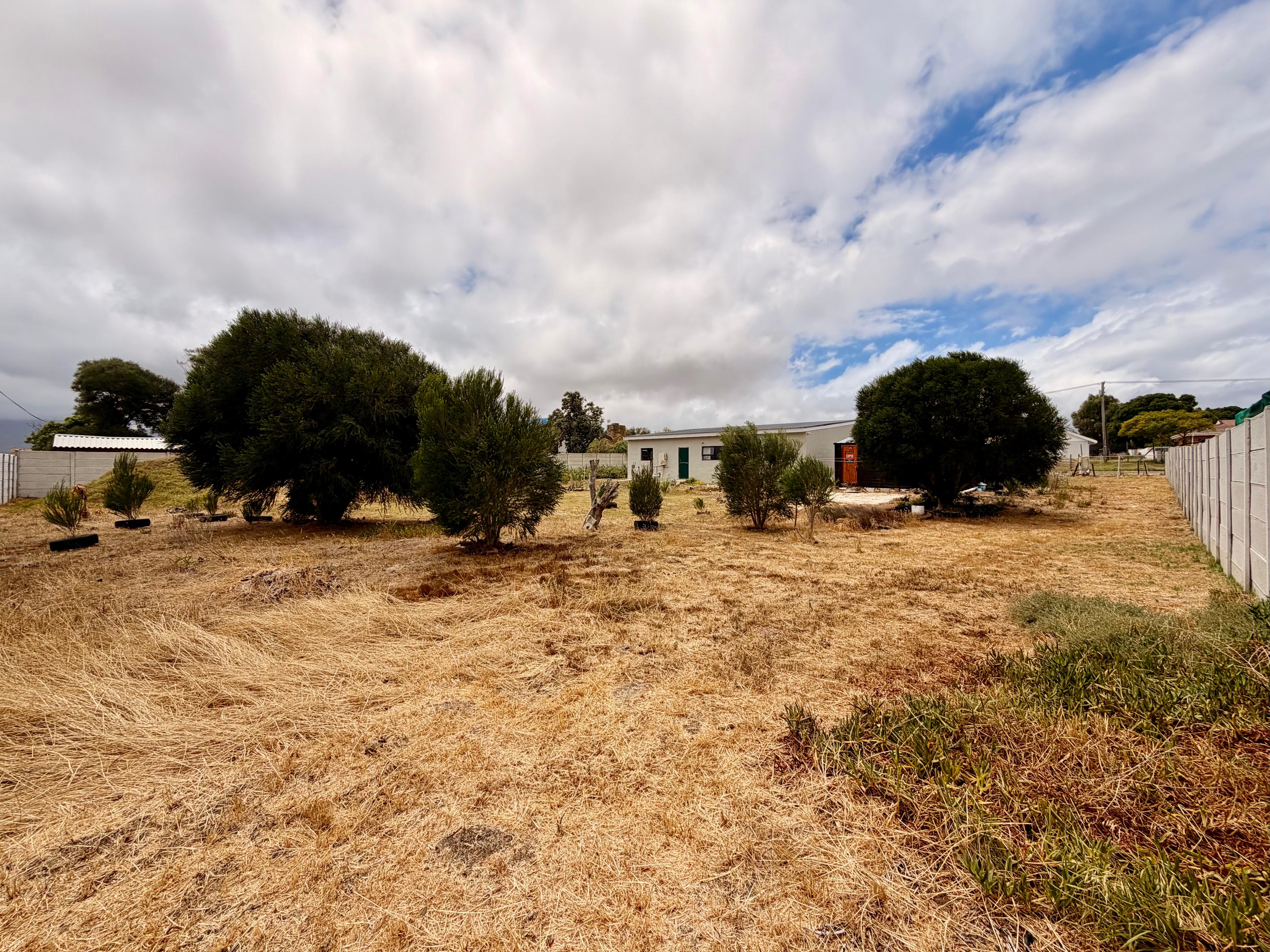 Image 14
