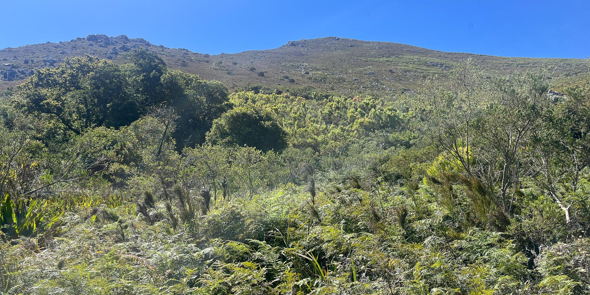 Image 4 of 6