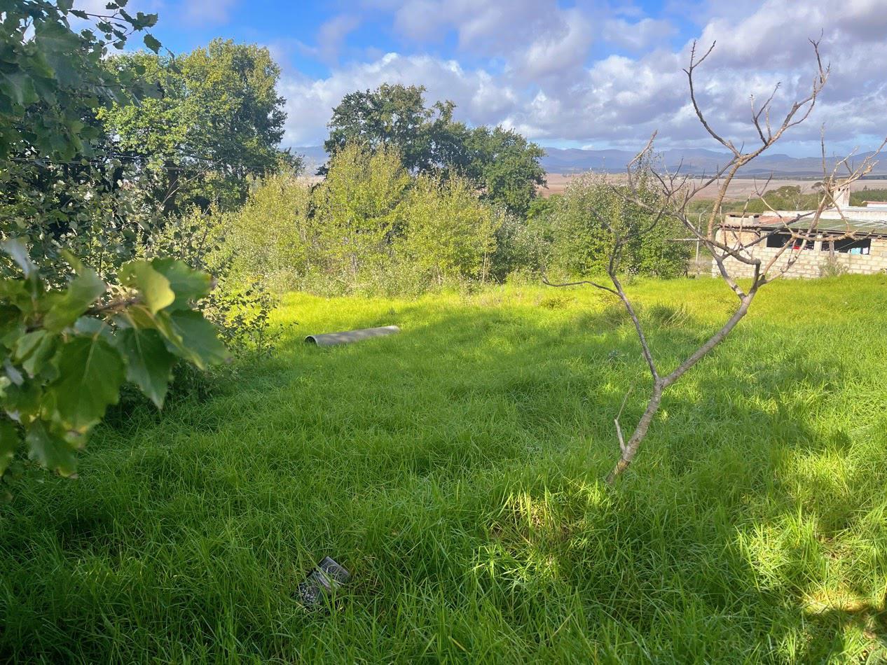 Image 13