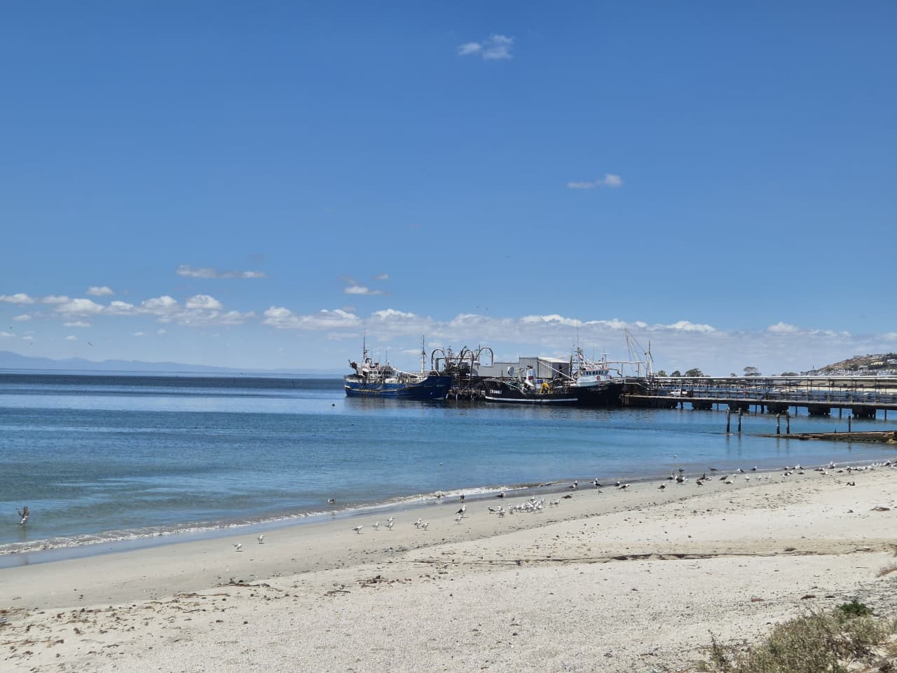 Image 12