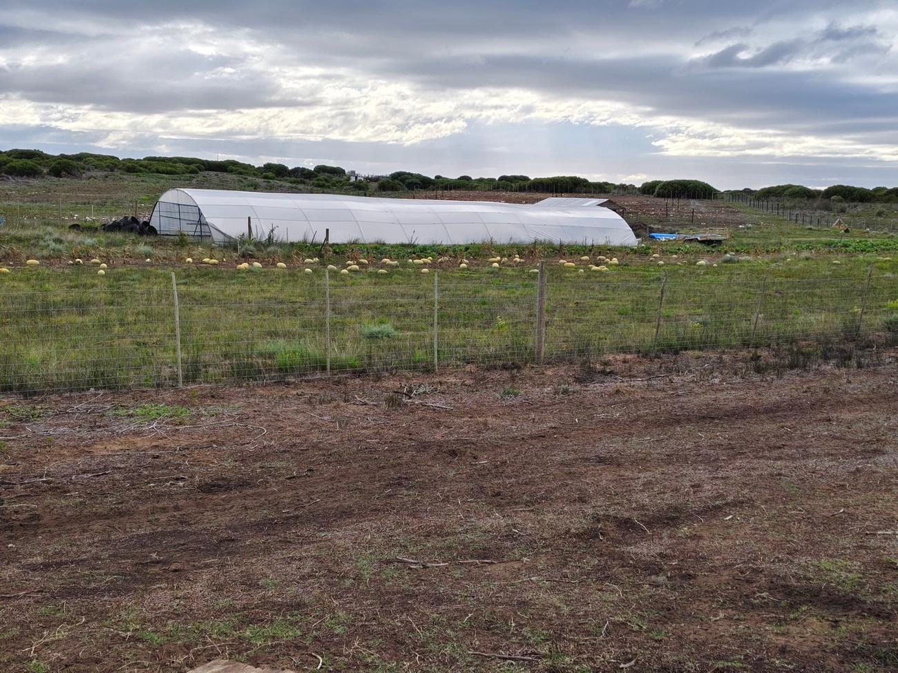 Image 39