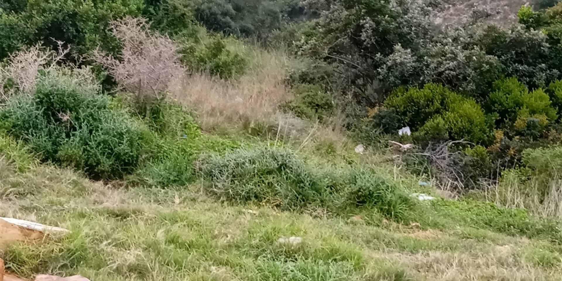 Image 3 of 6