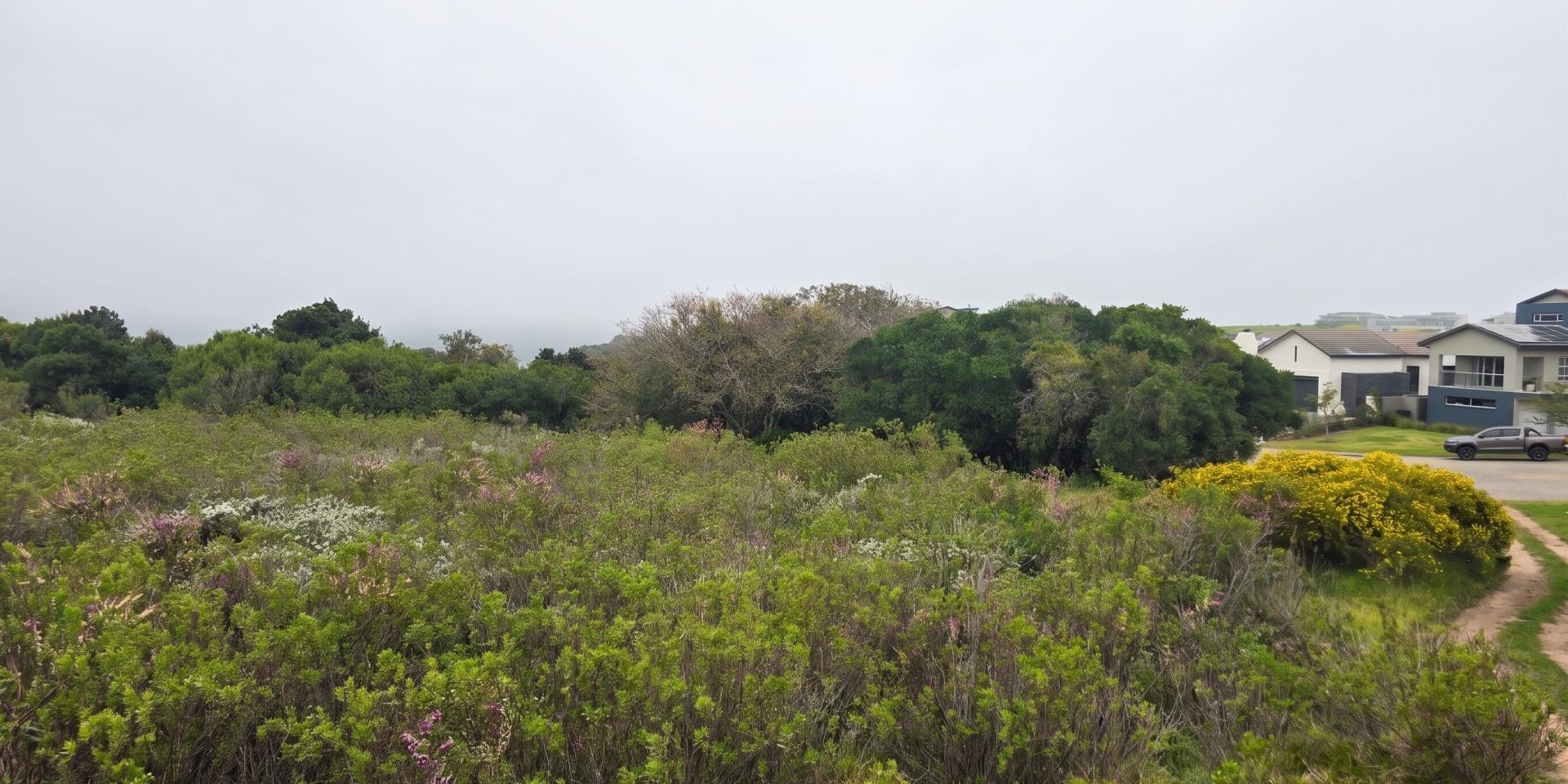 Image 5 of 6